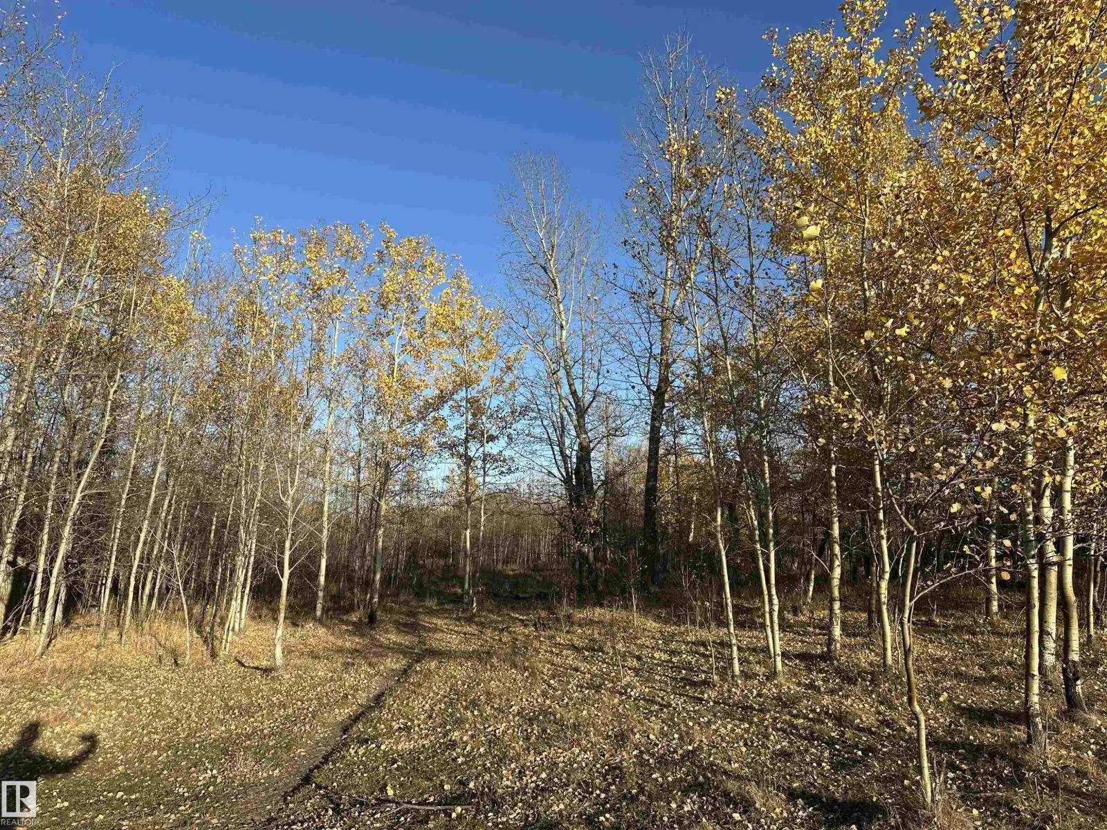 Twp. Road 544 & Range Road 204