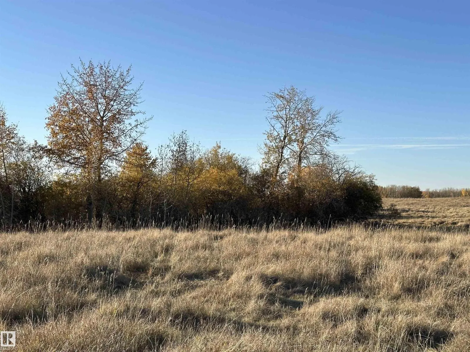 Twp. Road 544 & Range Road 204