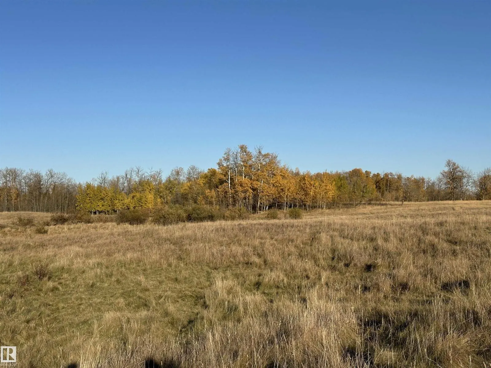 Twp. Road 544 & Range Road 204