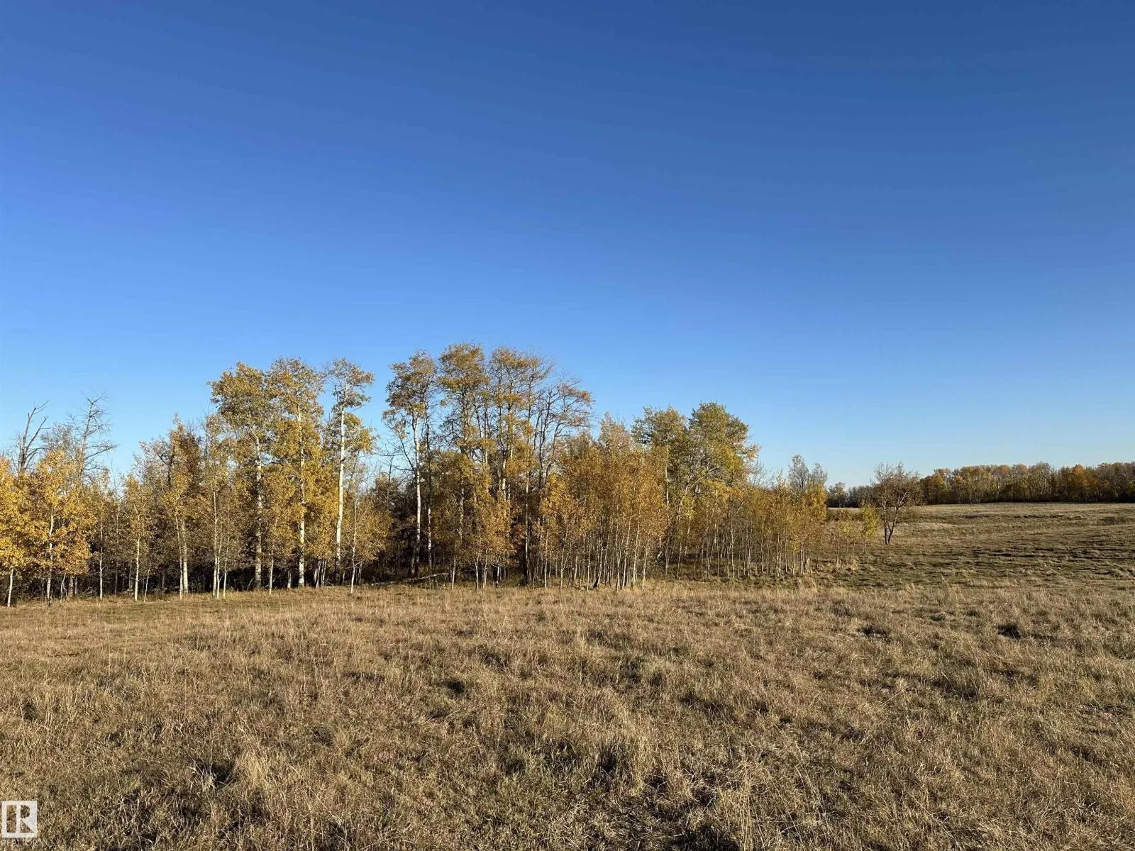 Twp. Road 544 & Range Road 204