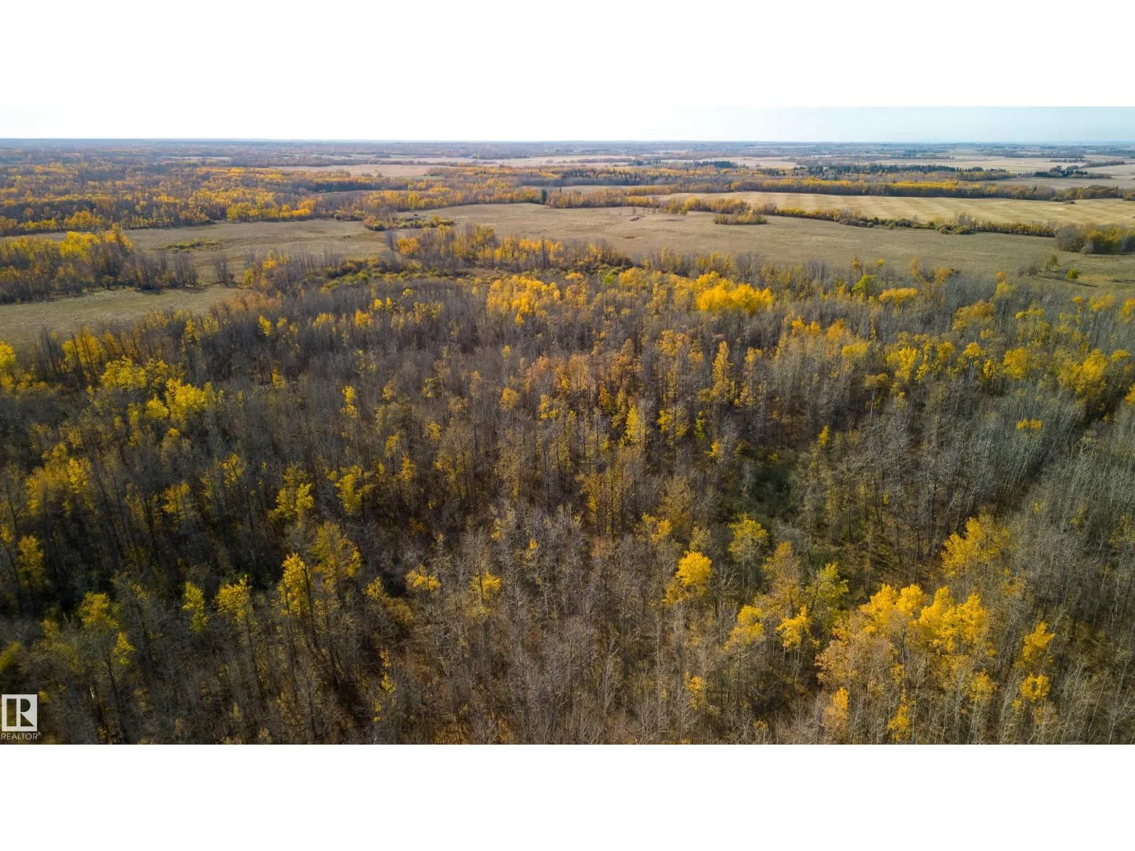Twp. Road 544 & Range Road 204