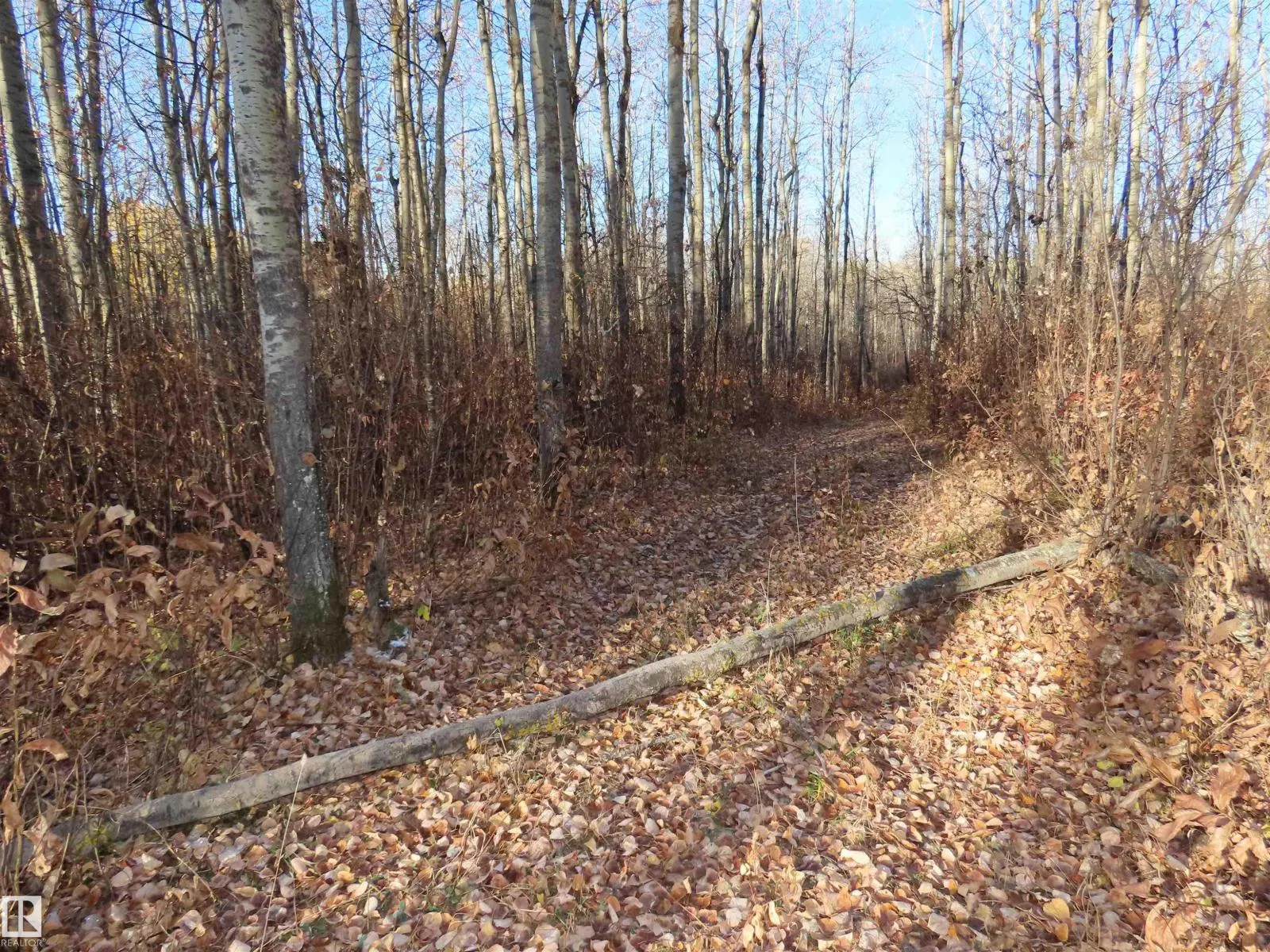 54425 Ste Anne Trail