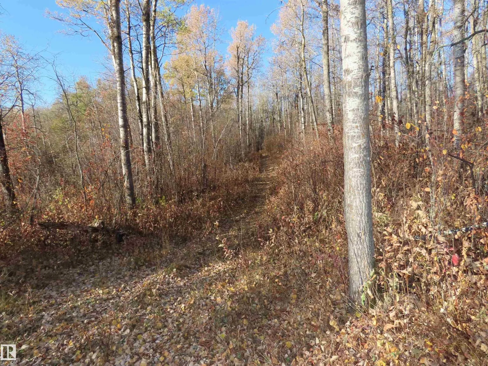 54425 Ste Anne Trail