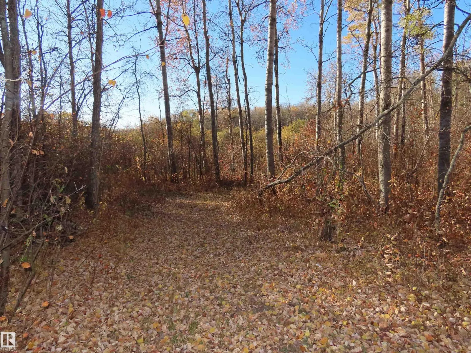54425 Ste Anne Trail