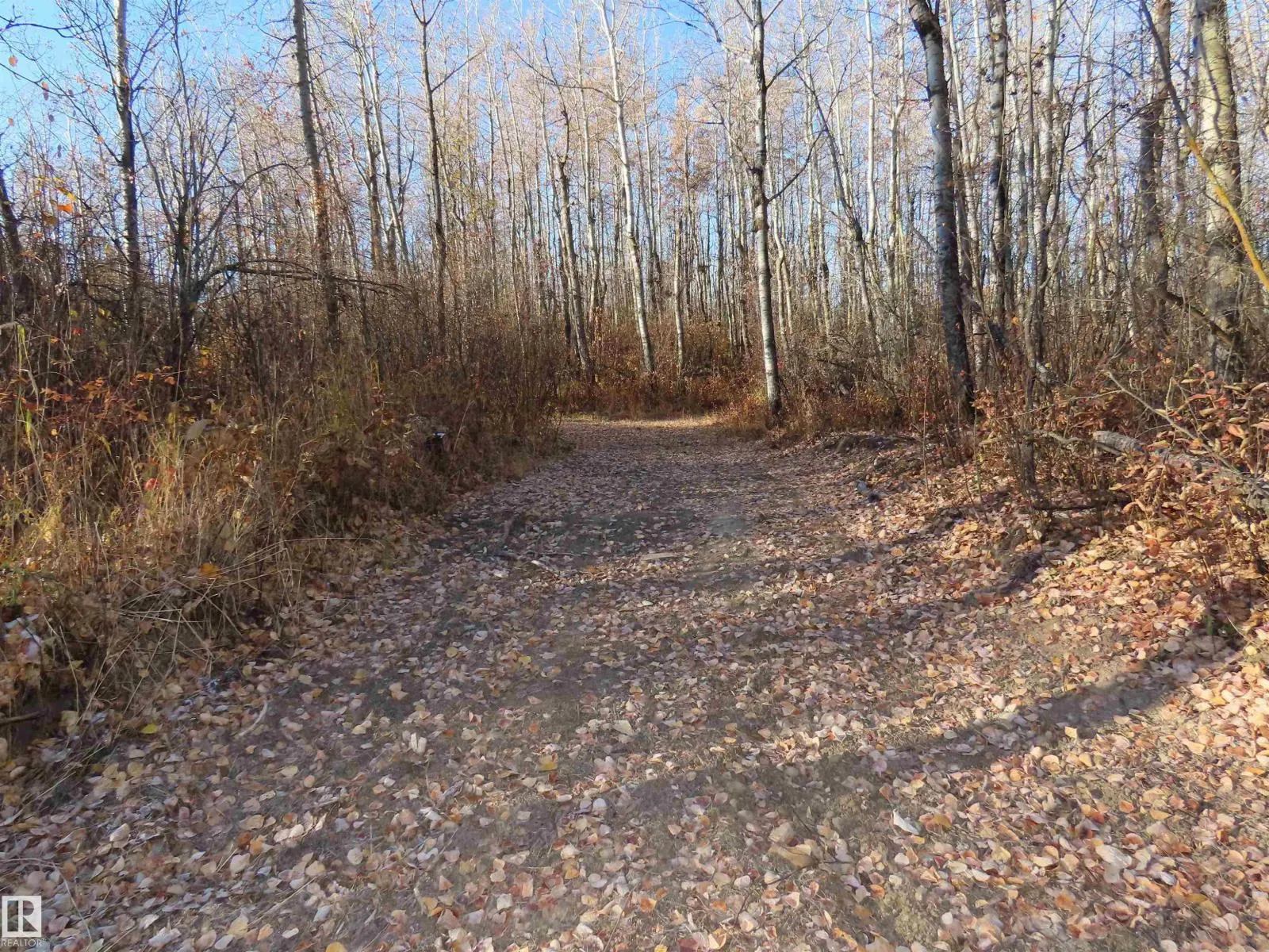 54425 Ste Anne Trail