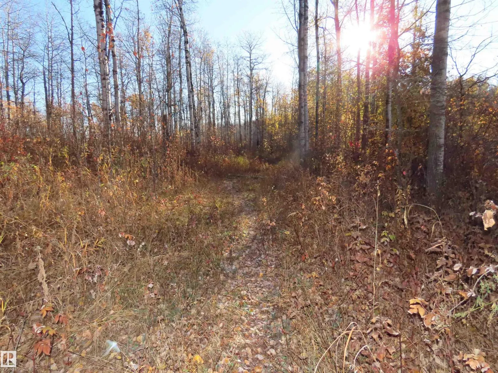 54425 Ste Anne Trail