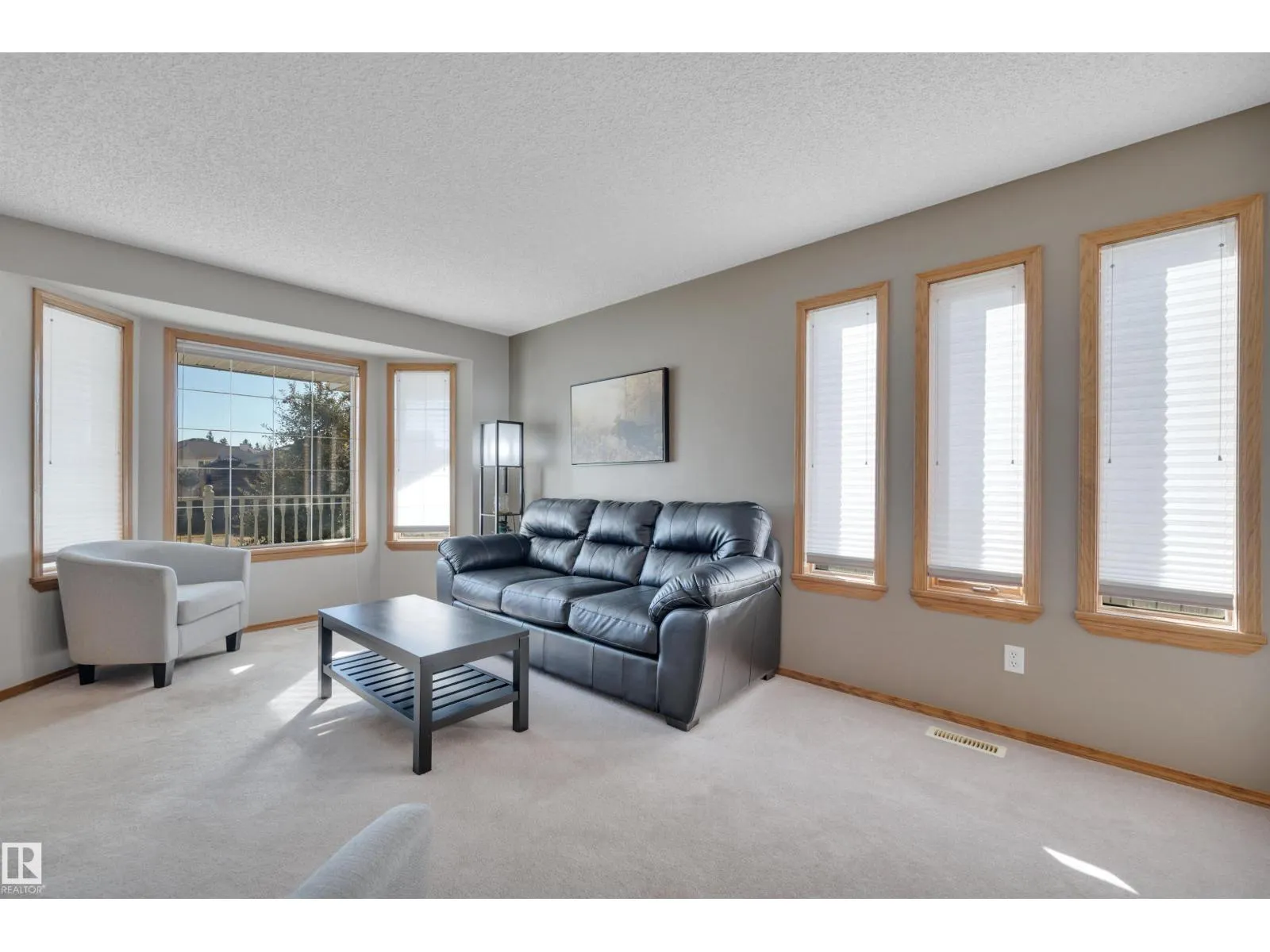113 PIPESTONE DR
