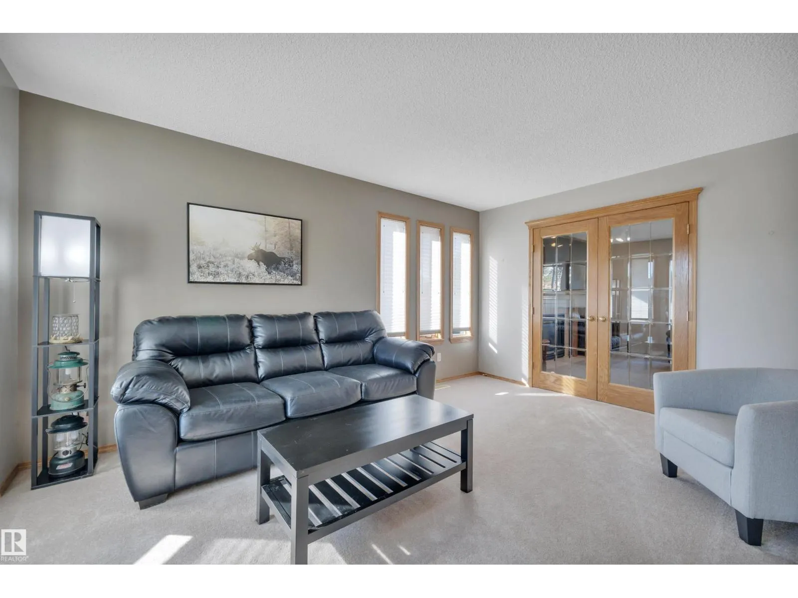 113 PIPESTONE DR