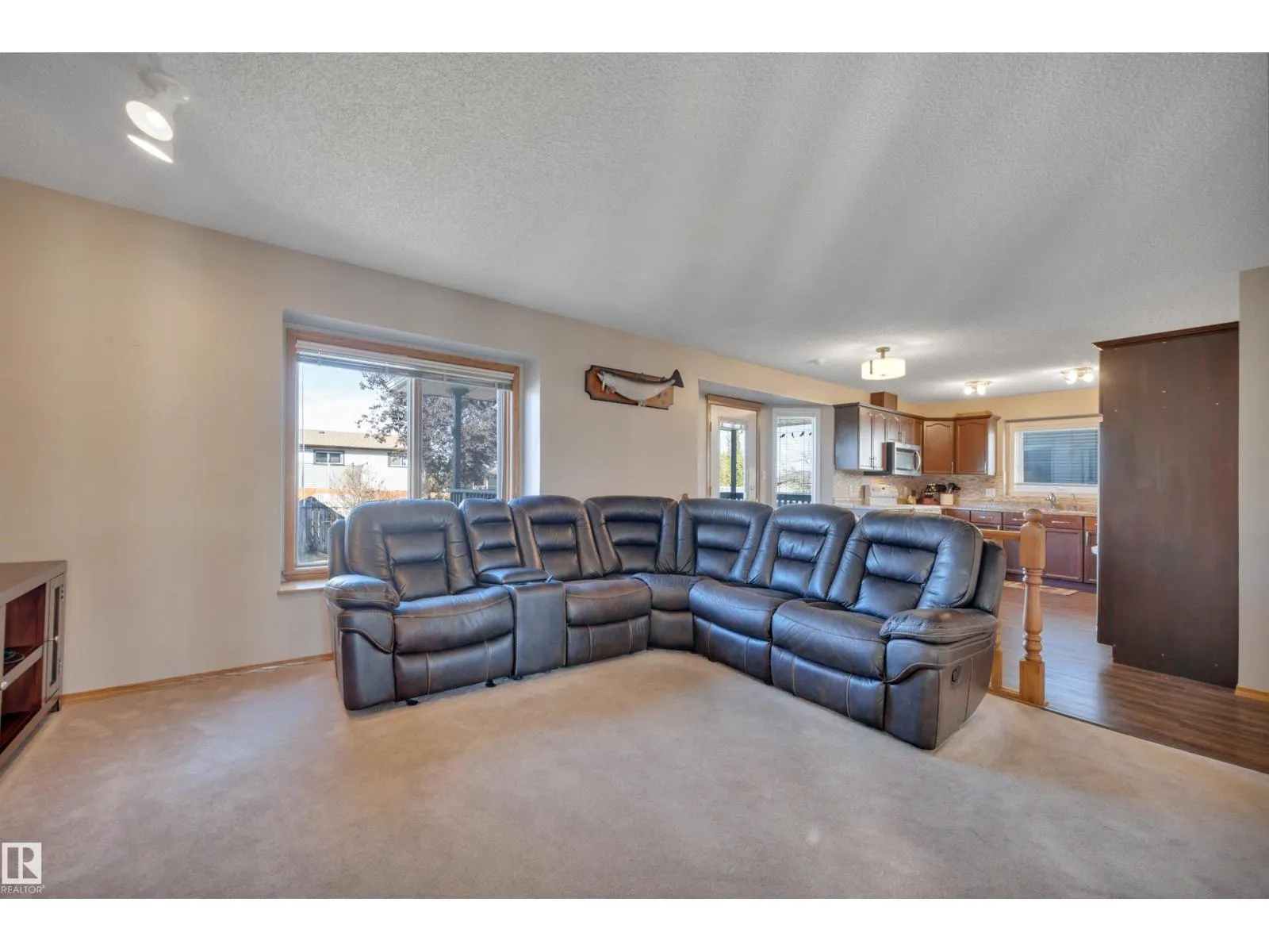 113 PIPESTONE DR
