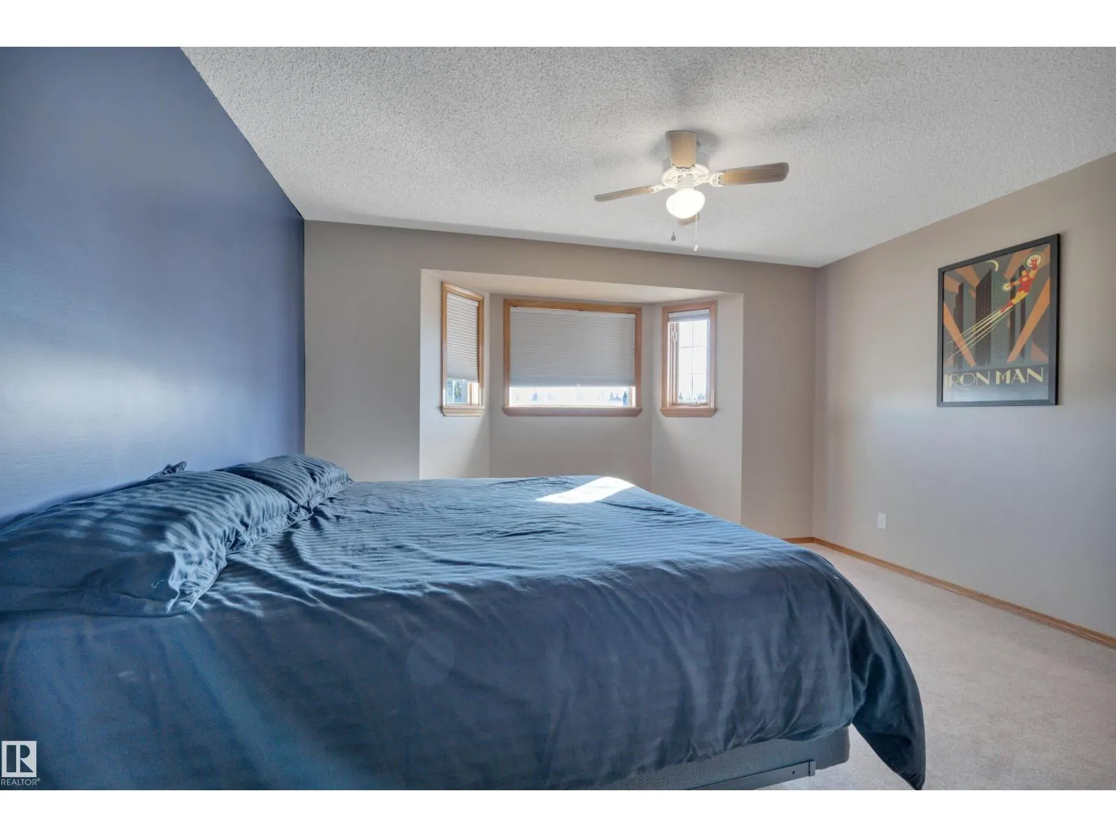 113 PIPESTONE DR