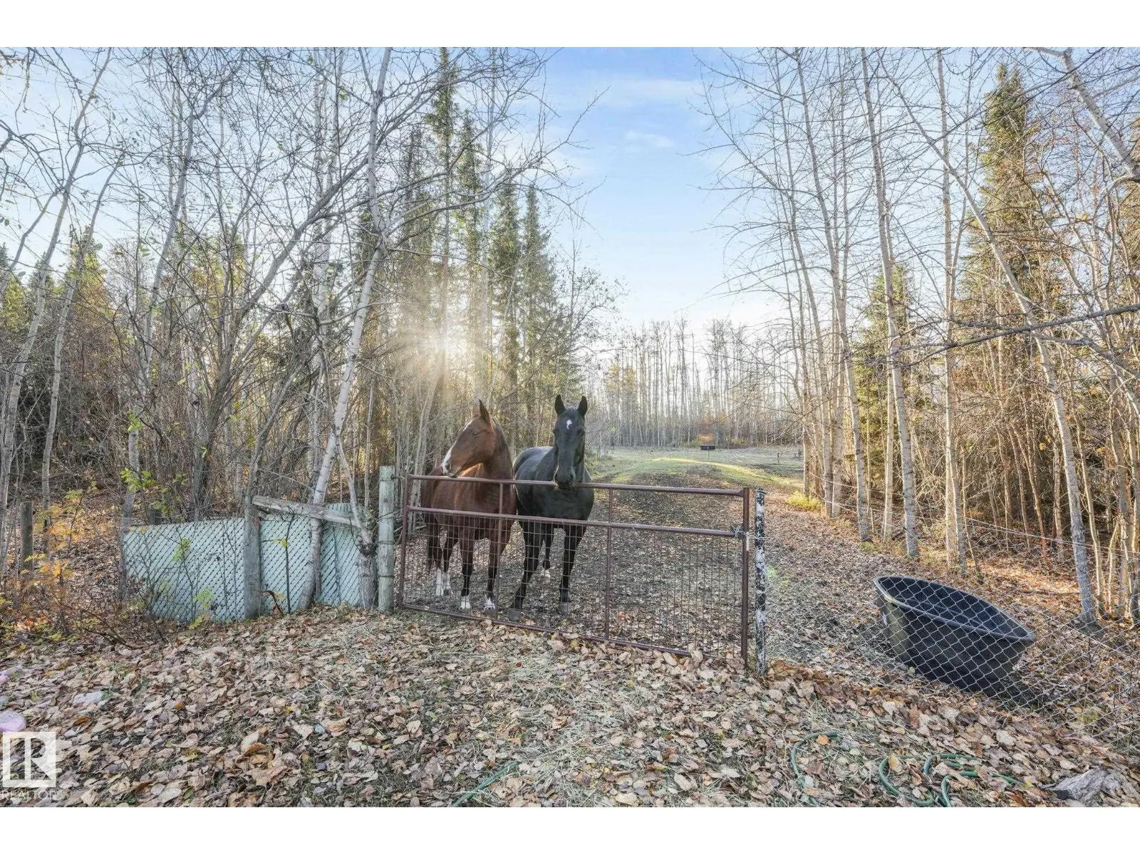 #13 54227 RGE ROAD 41