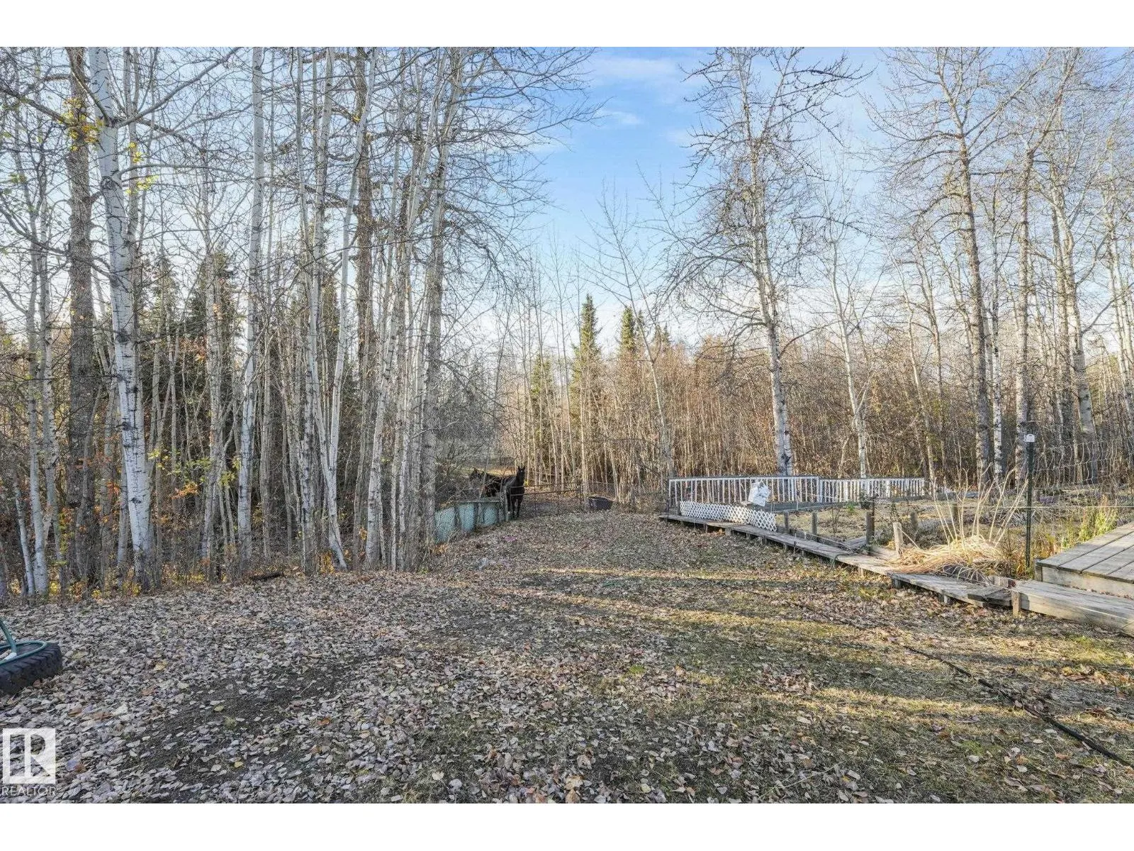 #13 54227 RGE ROAD 41