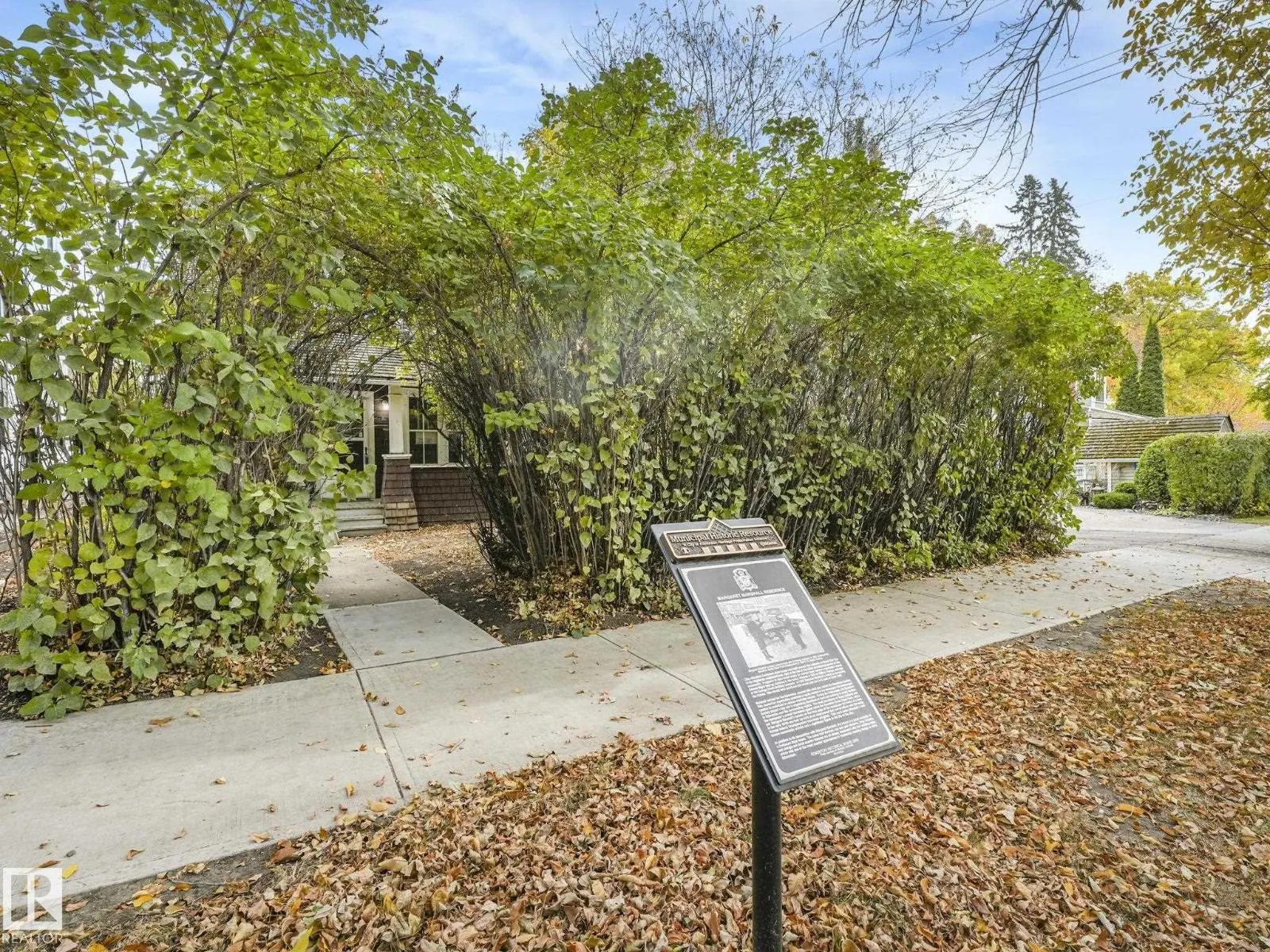 11119 62 ST NW