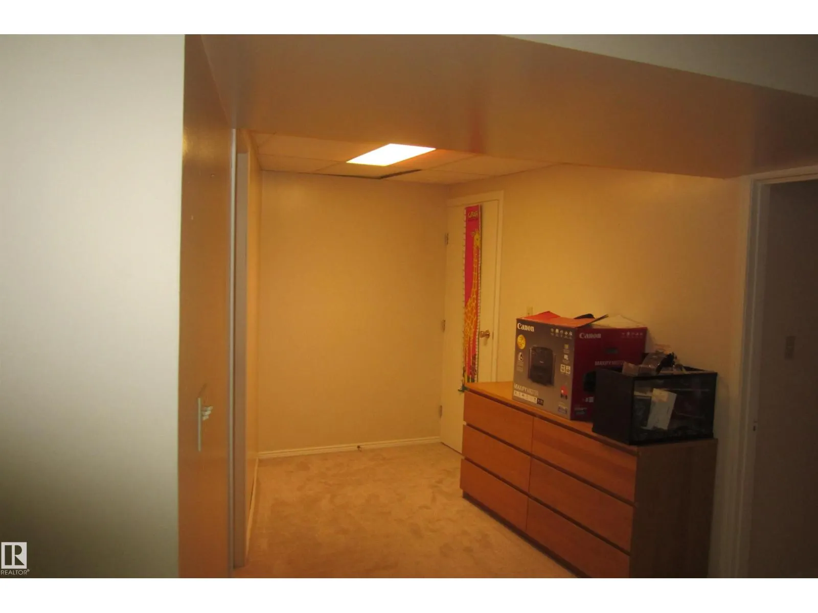 119 Willow DR