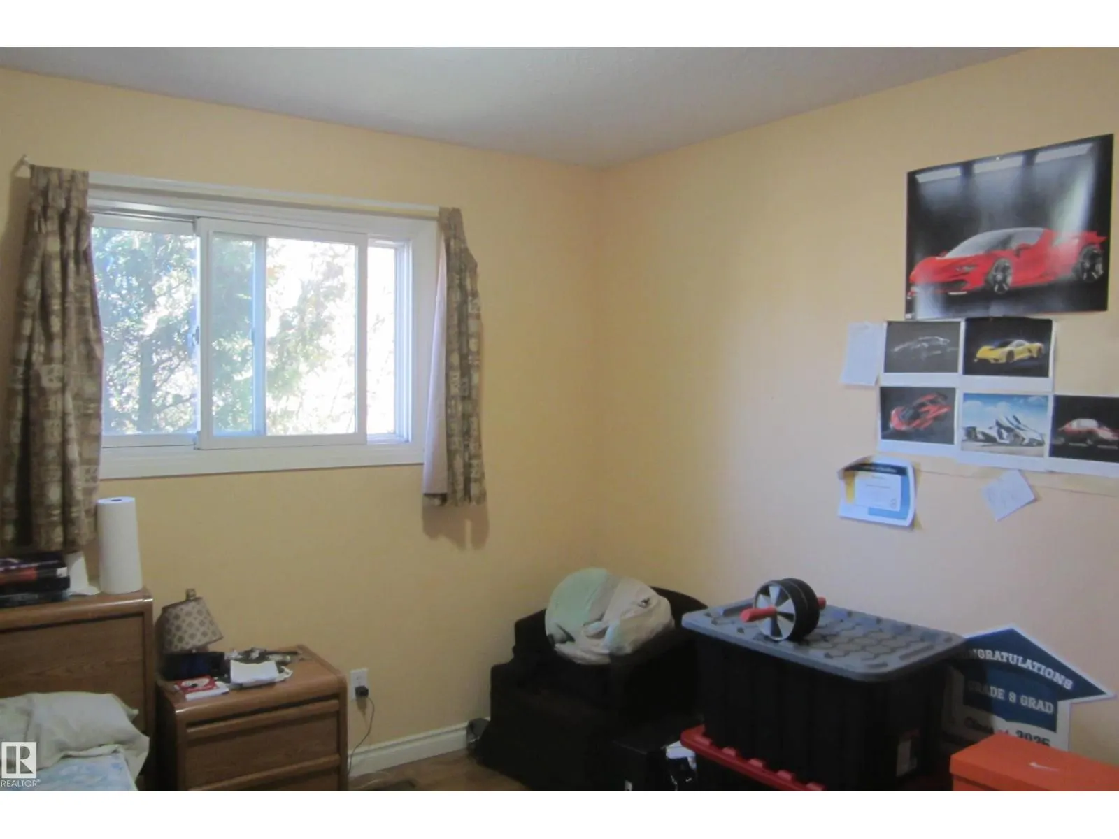 119 Willow DR