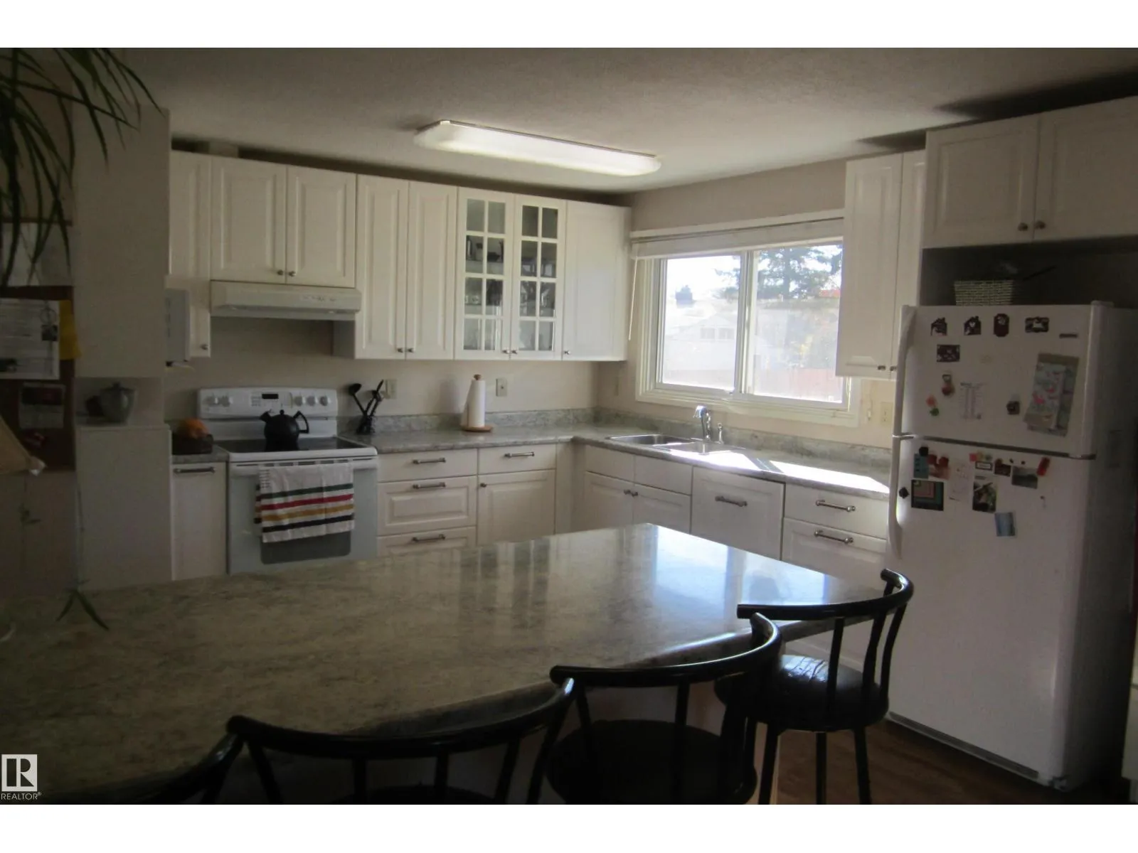 119 Willow DR
