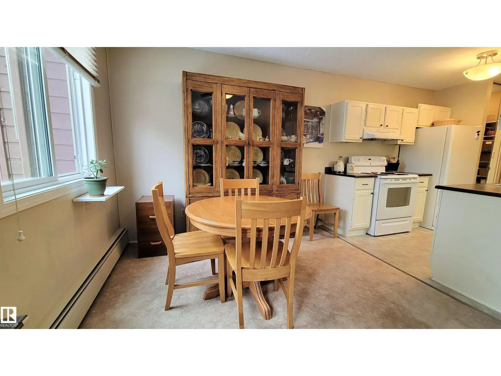 #206 10826 113 ST NW