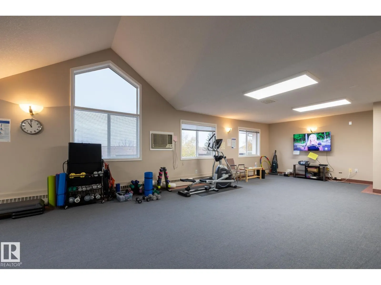 #106 6703 172 ST NW