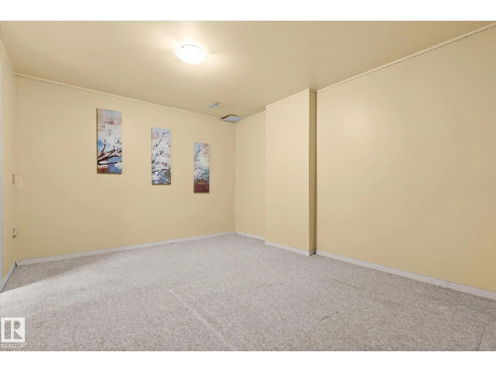 4911 46 St