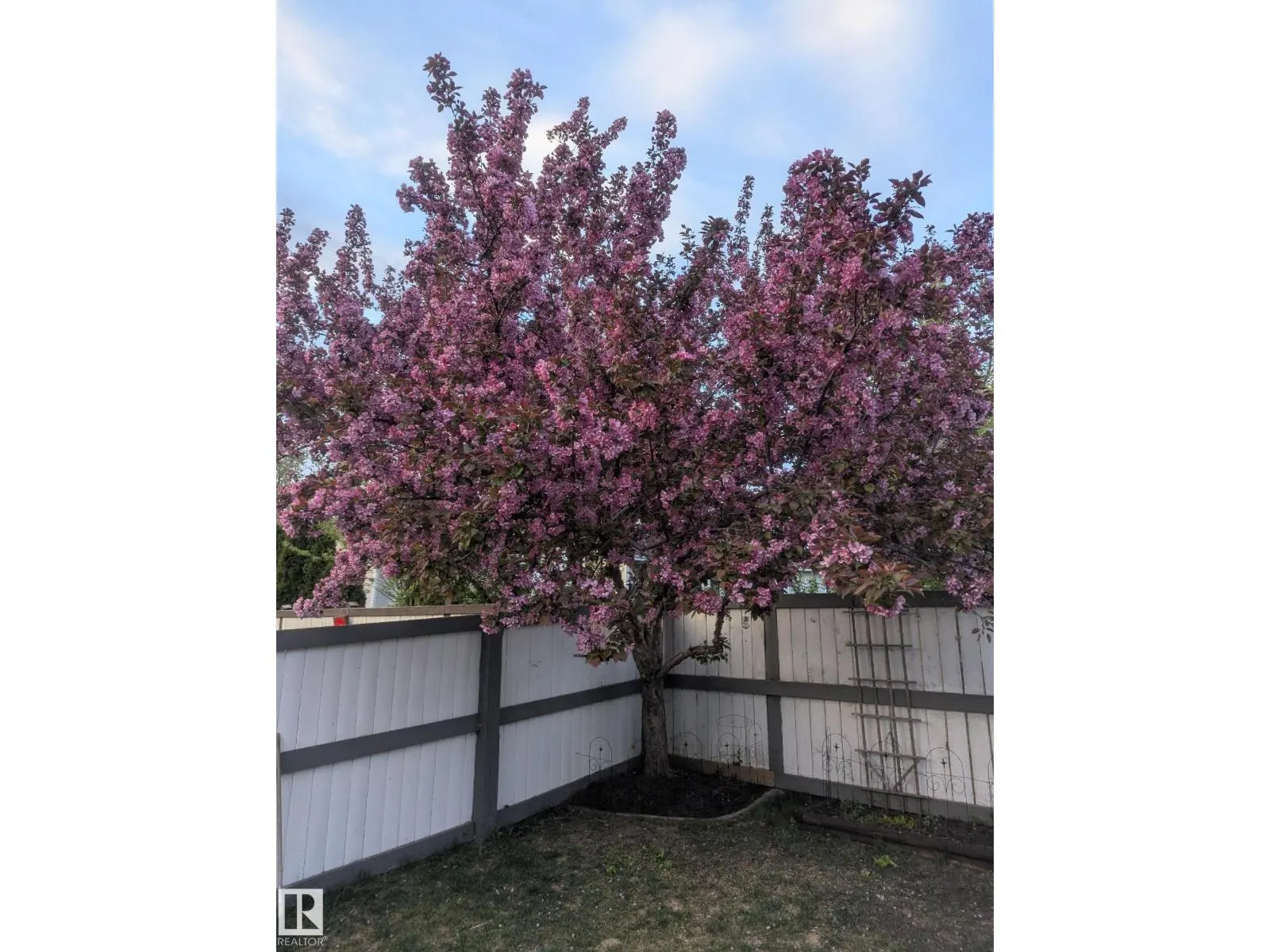 158 MEADOWVIEW DR