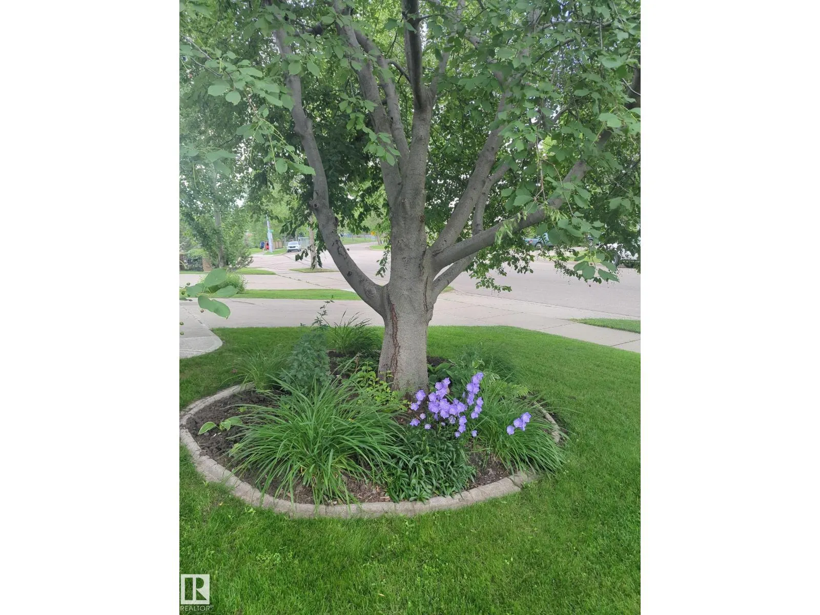 158 MEADOWVIEW DR