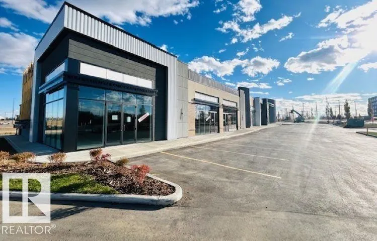 1139 103A ST SW SW