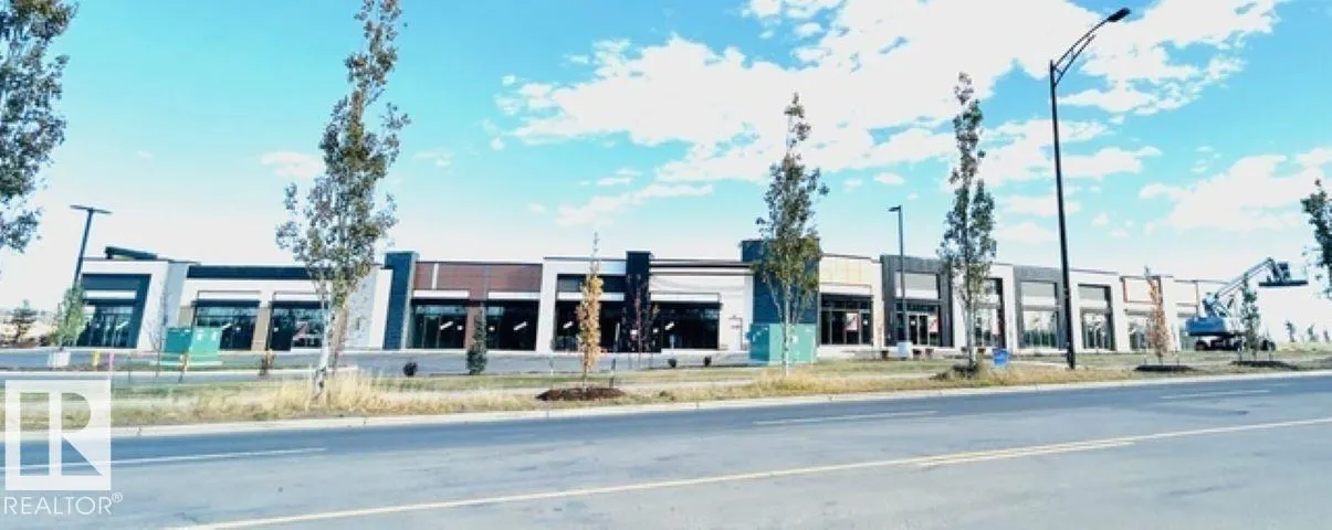 1139 103A ST SW SW