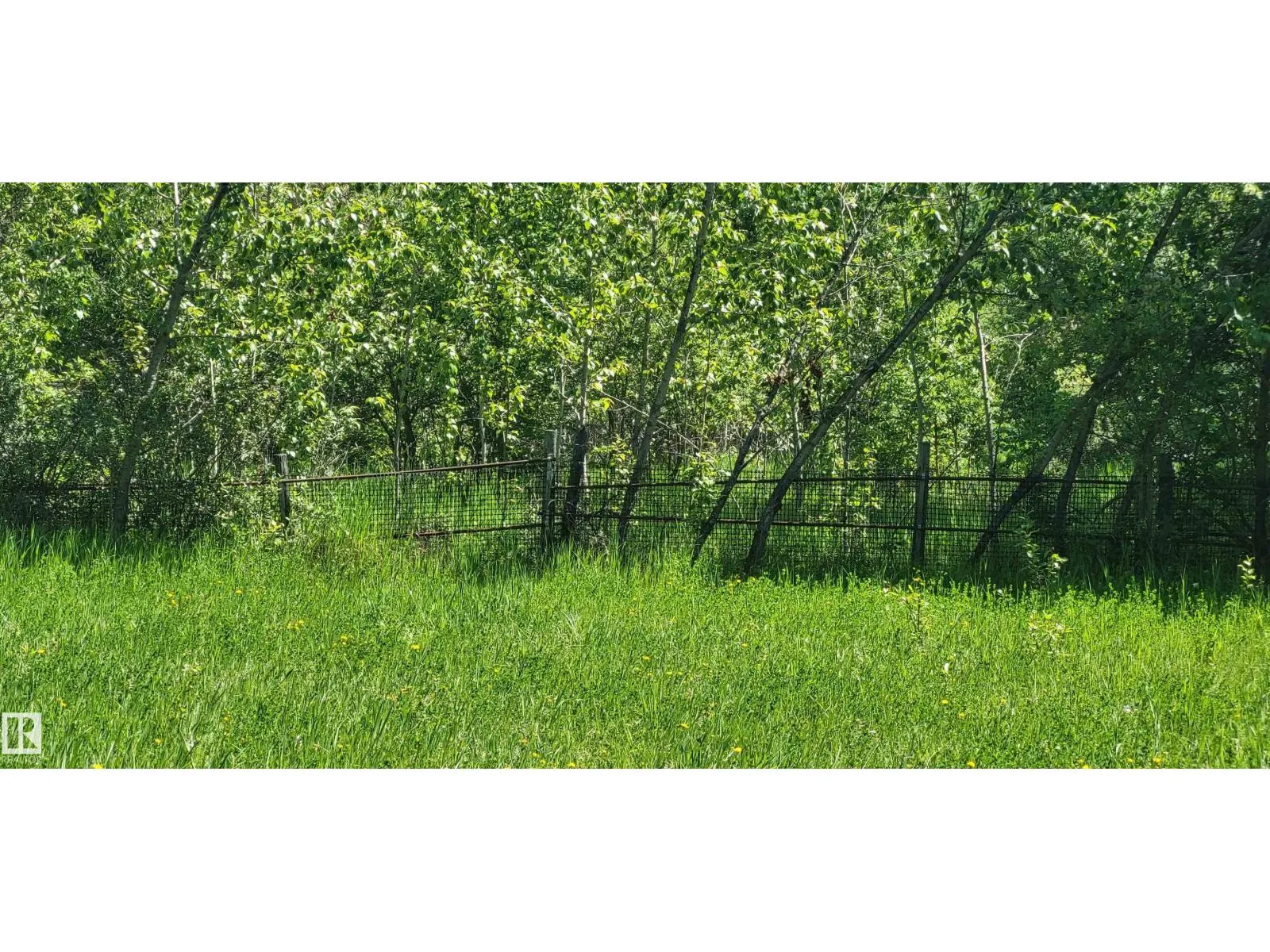 Twp 491 Range Road 73