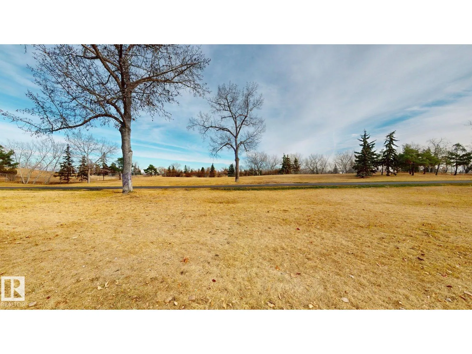 #114 2908 116A AV NW