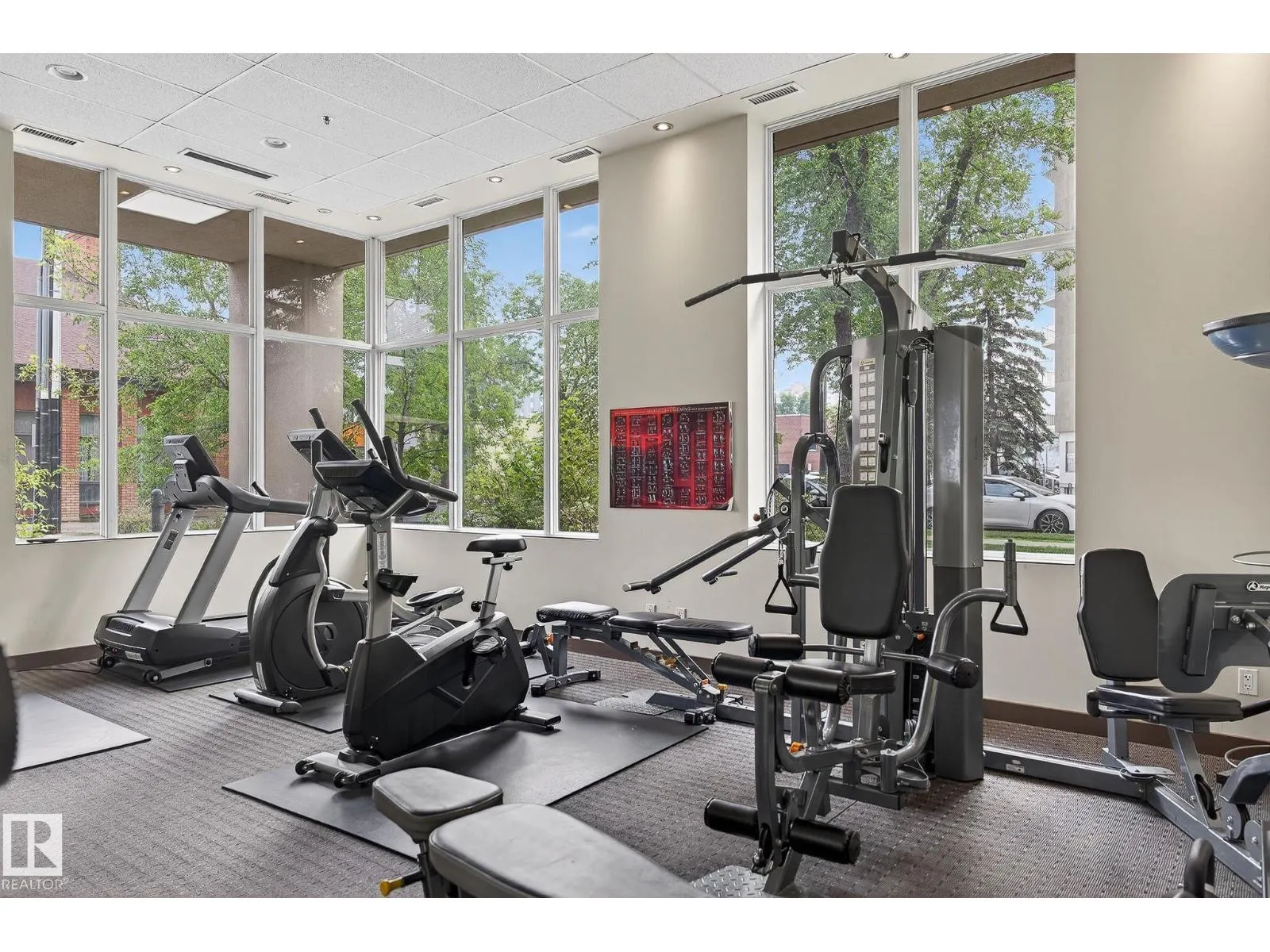 #203 10046 117 ST NW