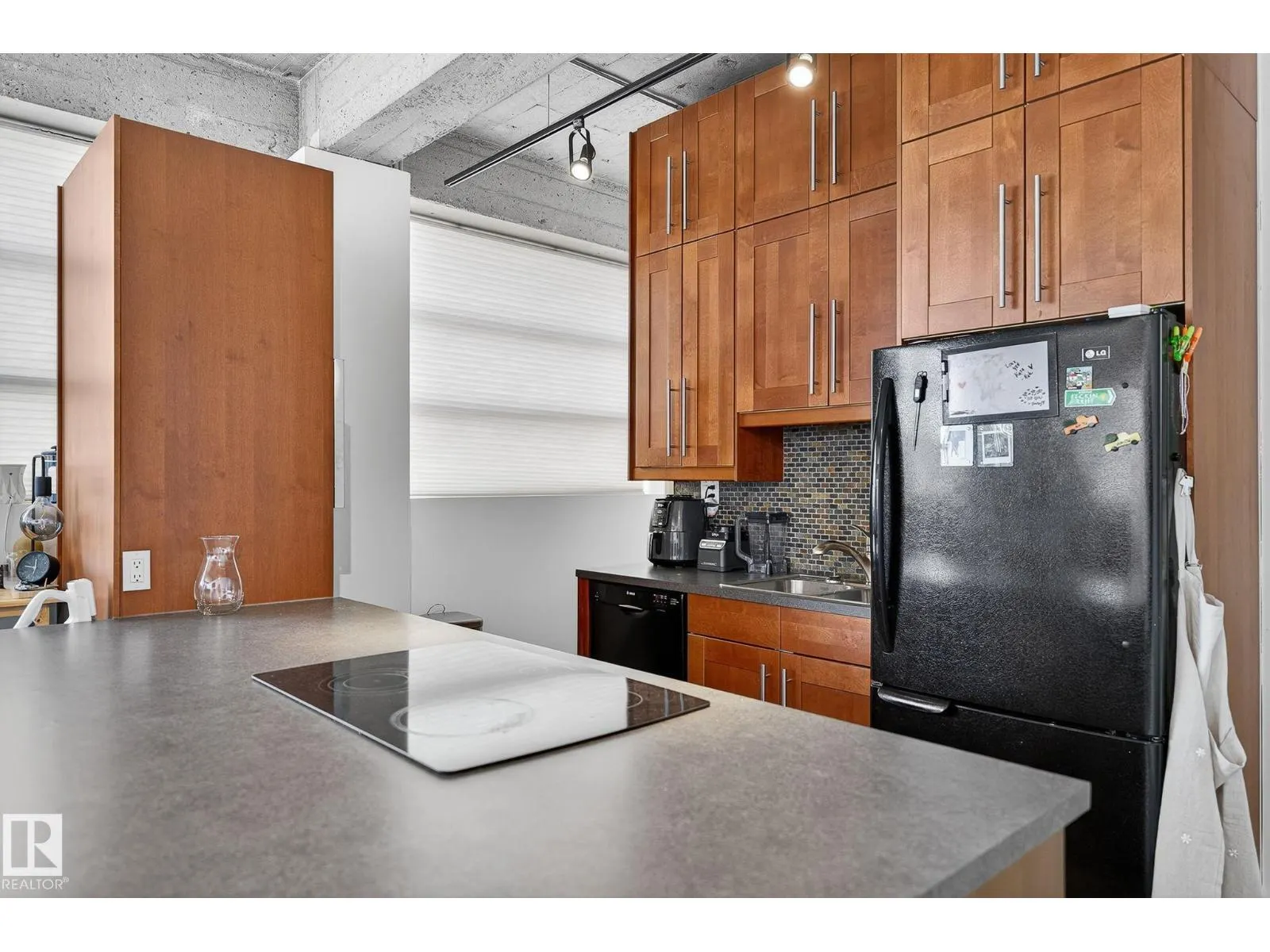 #201 10355 105 ST NW