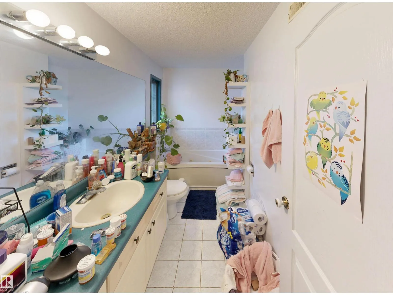 10941 81 AV NW