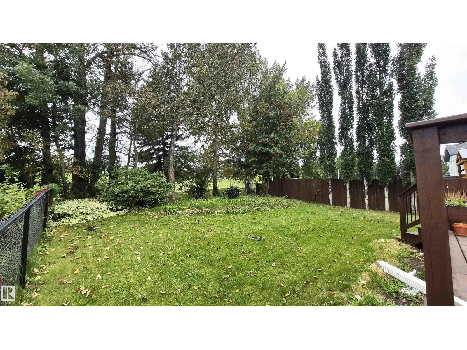 125 Coloniale WY