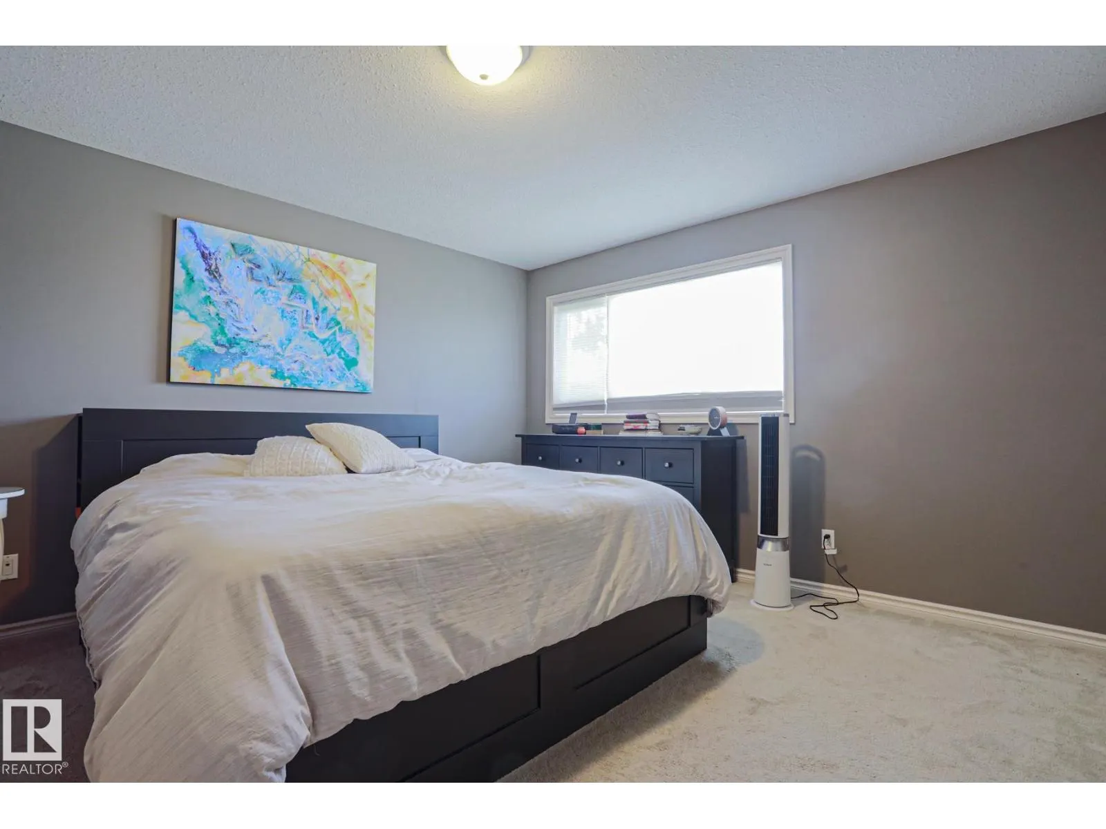 6 WILLIS CR
