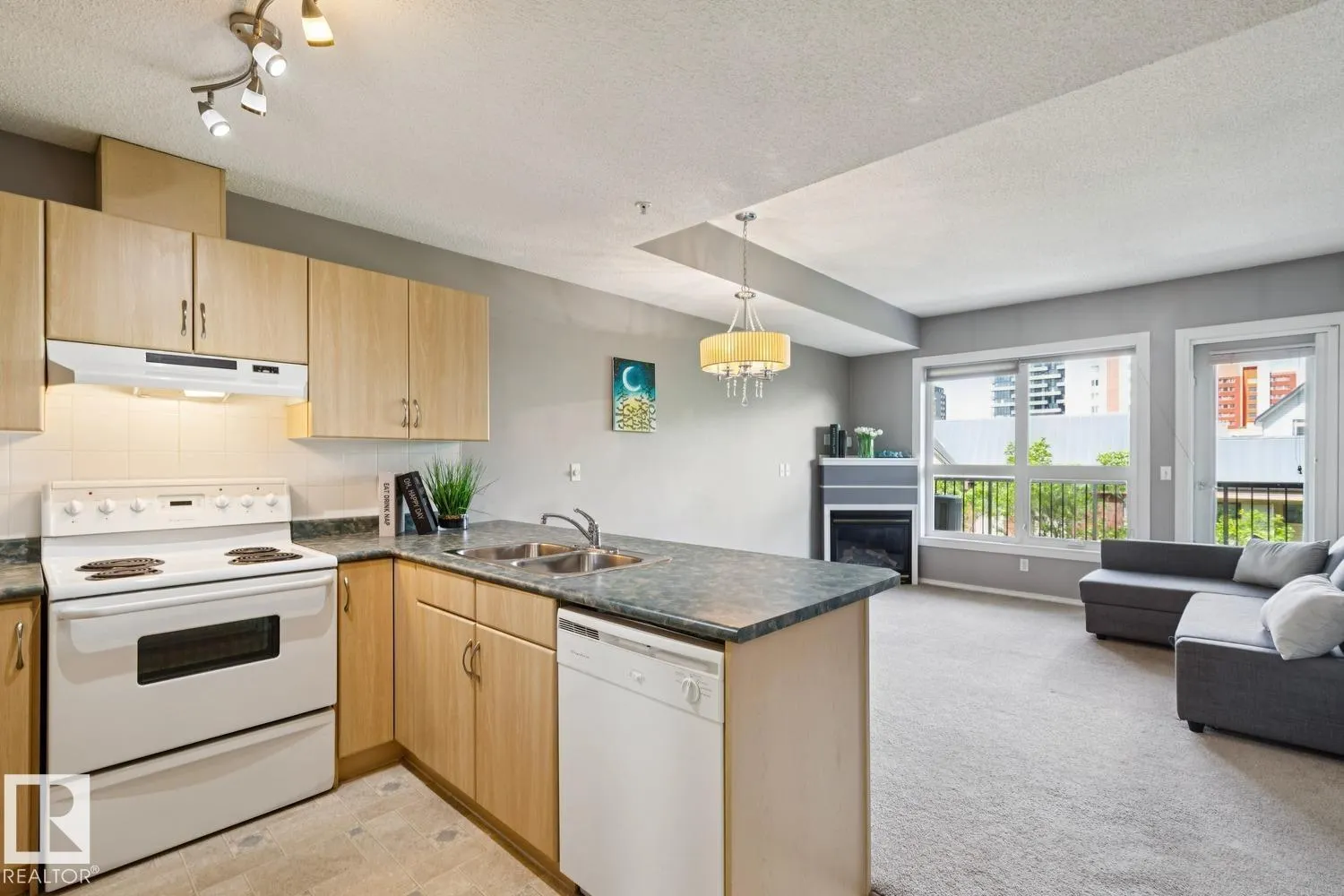 #502 11103 84 AV NW NW