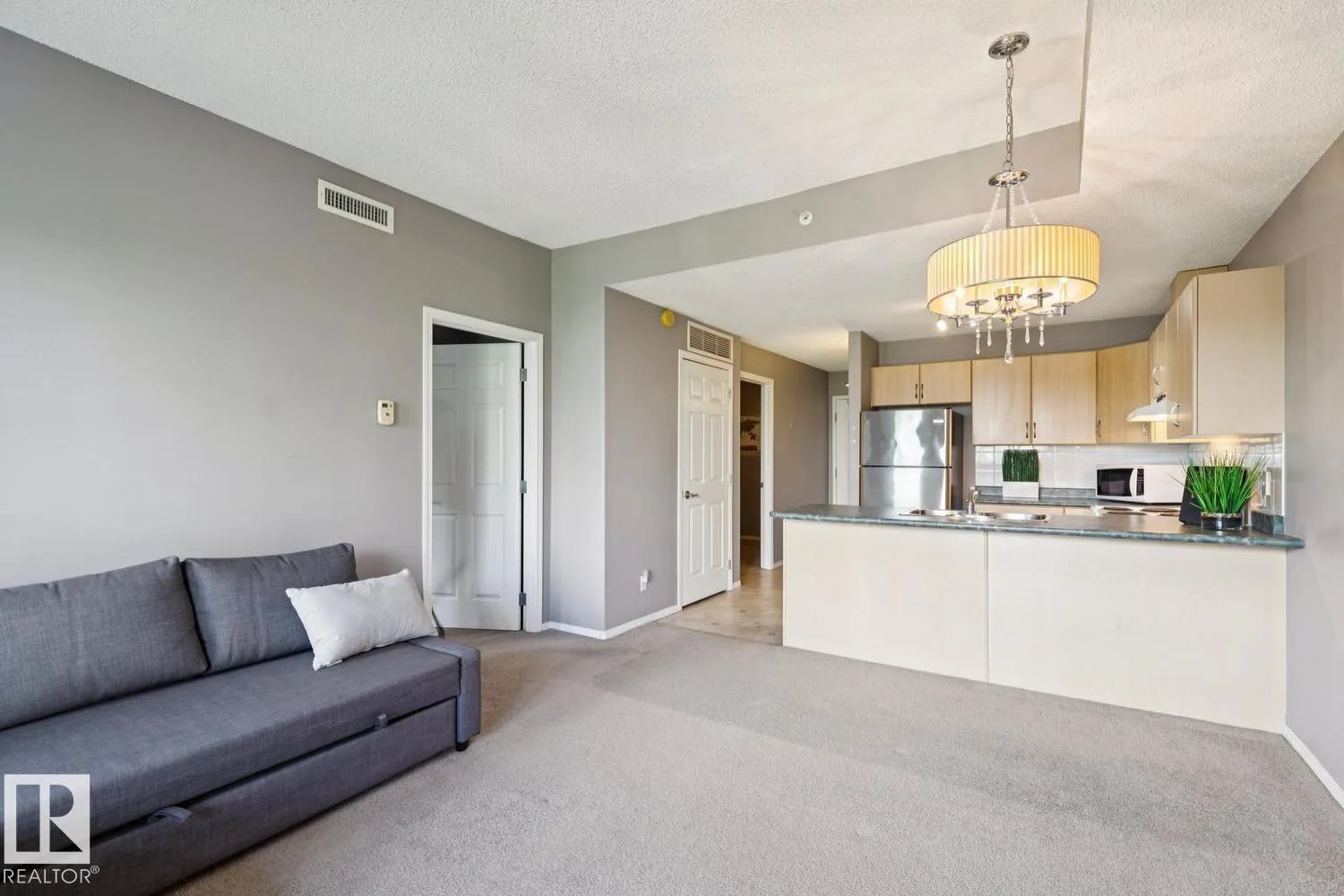 #502 11103 84 AV NW NW