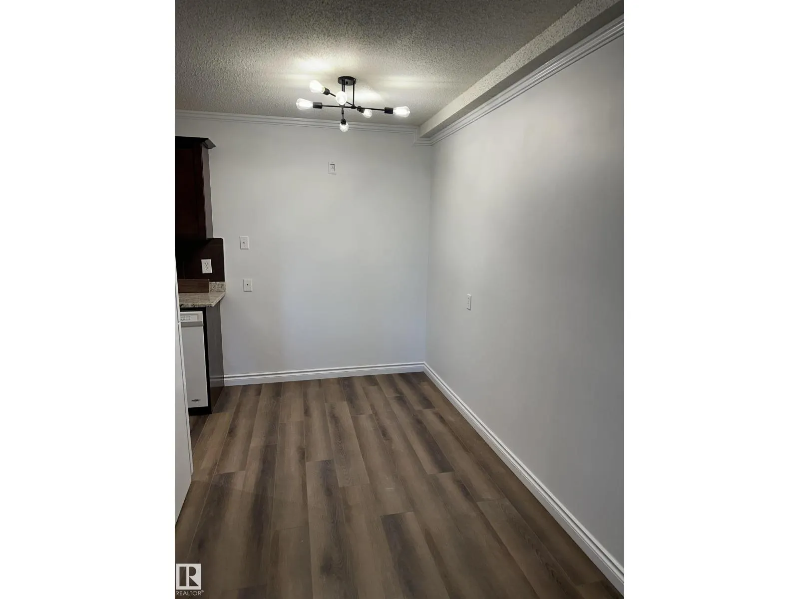 #102 10633 81 AV NW