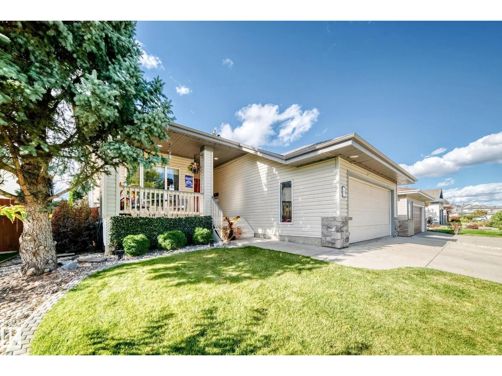 81 DUNFIELD CR