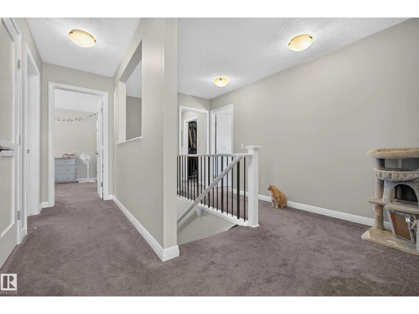 89 SUMMERSTONE LN