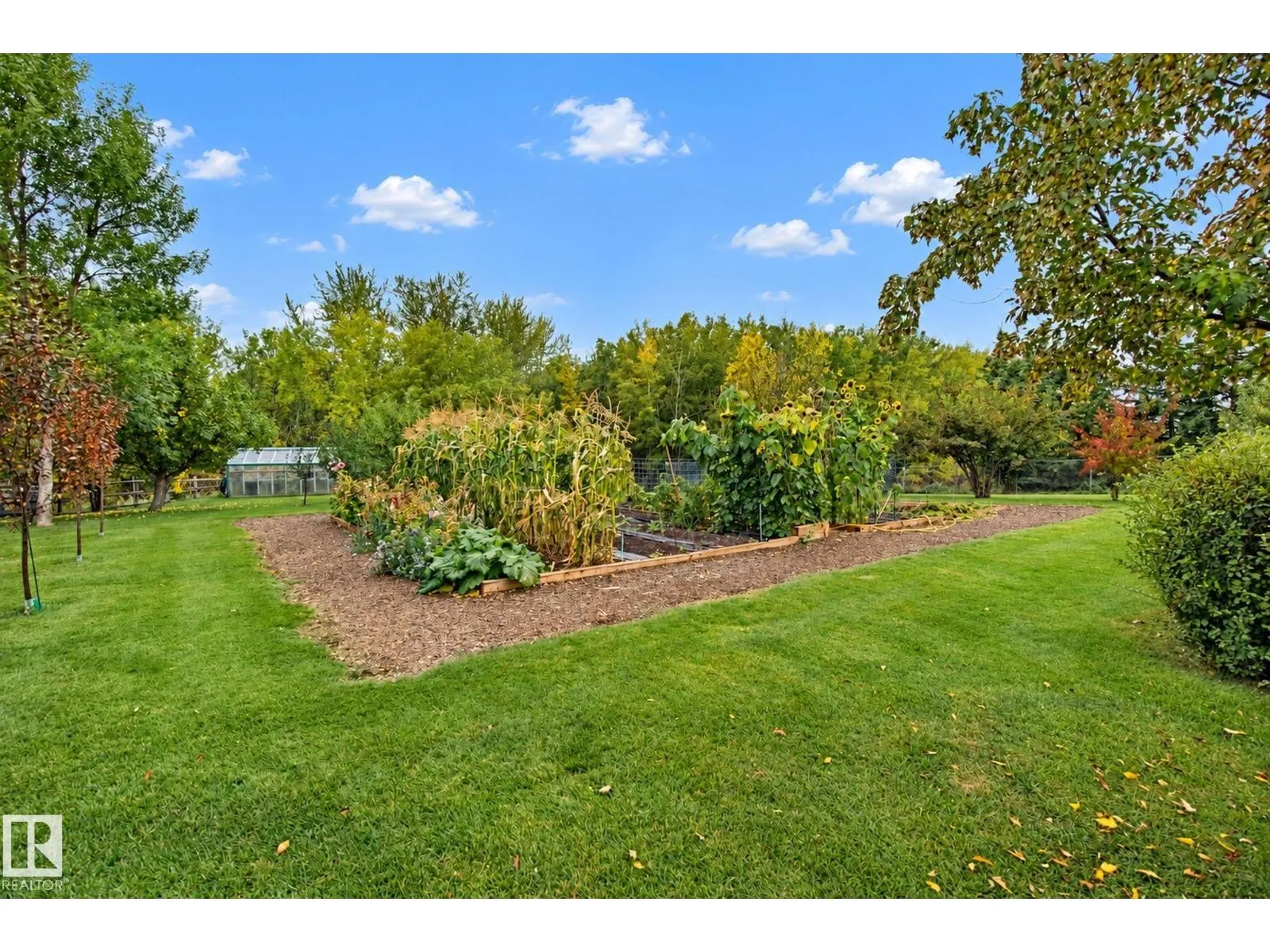 6 ROSENTHAL WY