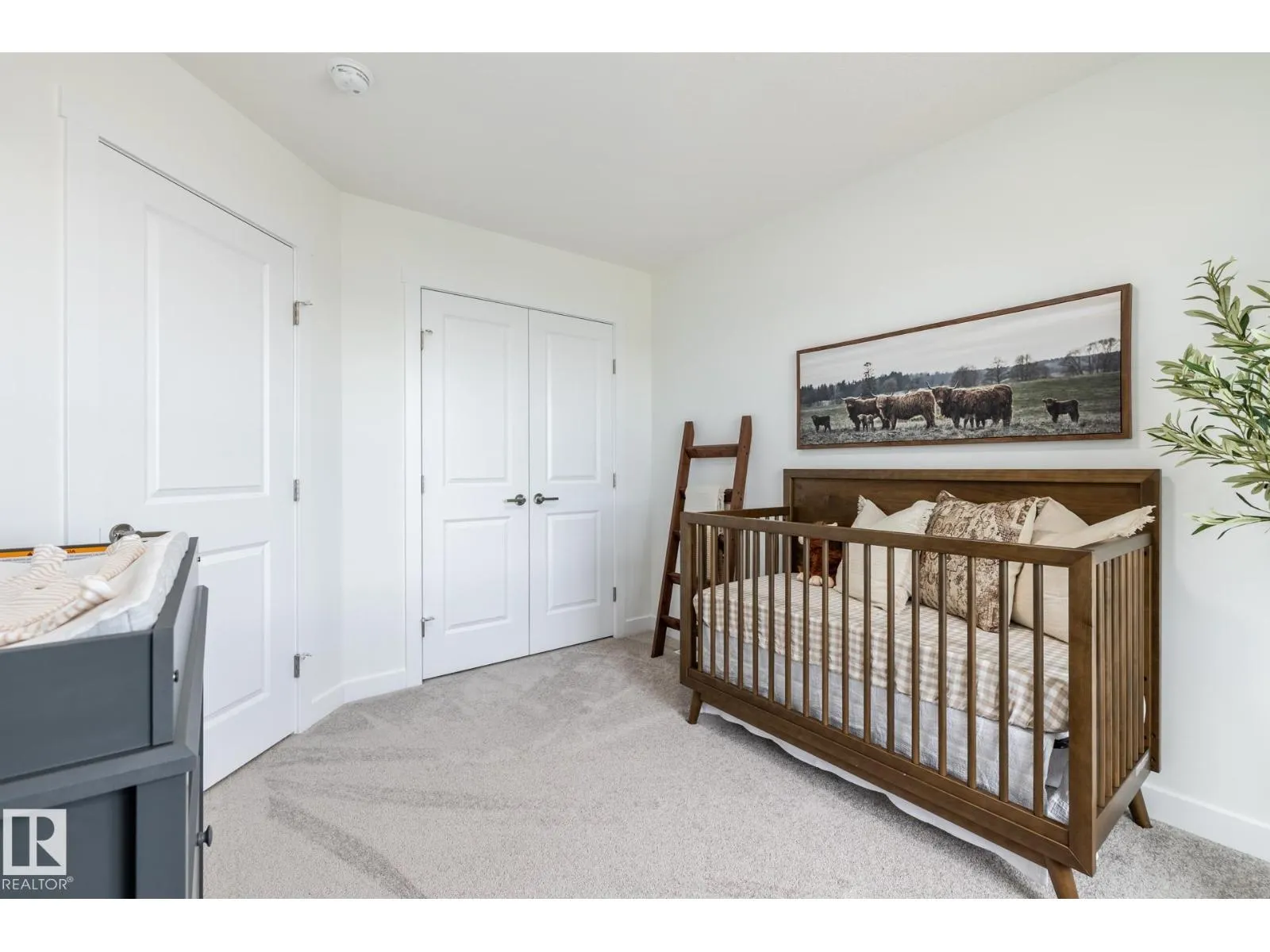 31 Wynn WY