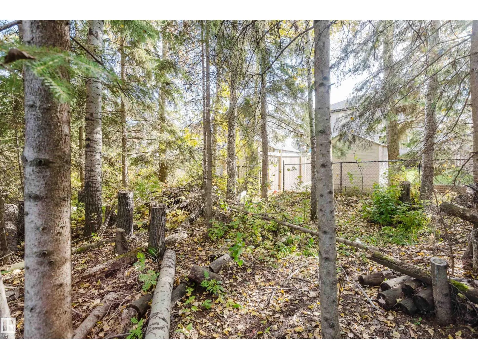 44 HAMILTON CT