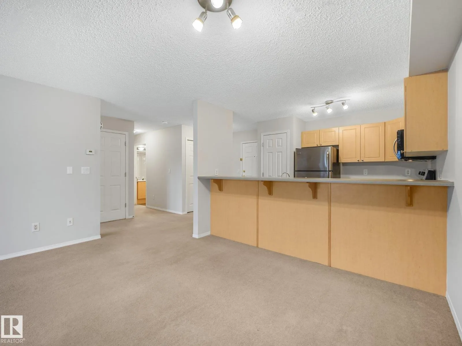 #202 10403 98 AV NW
