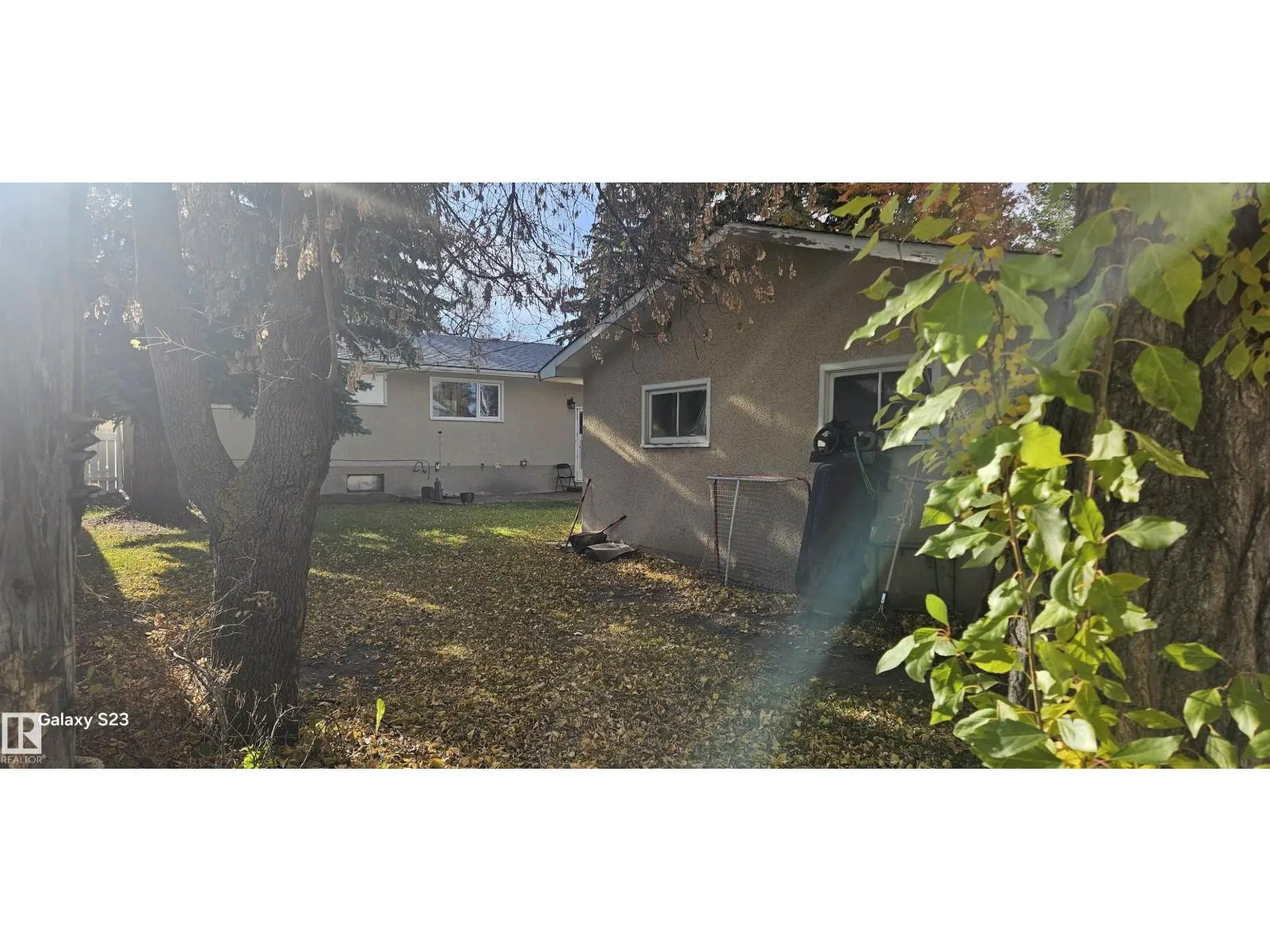 2 Wren CR