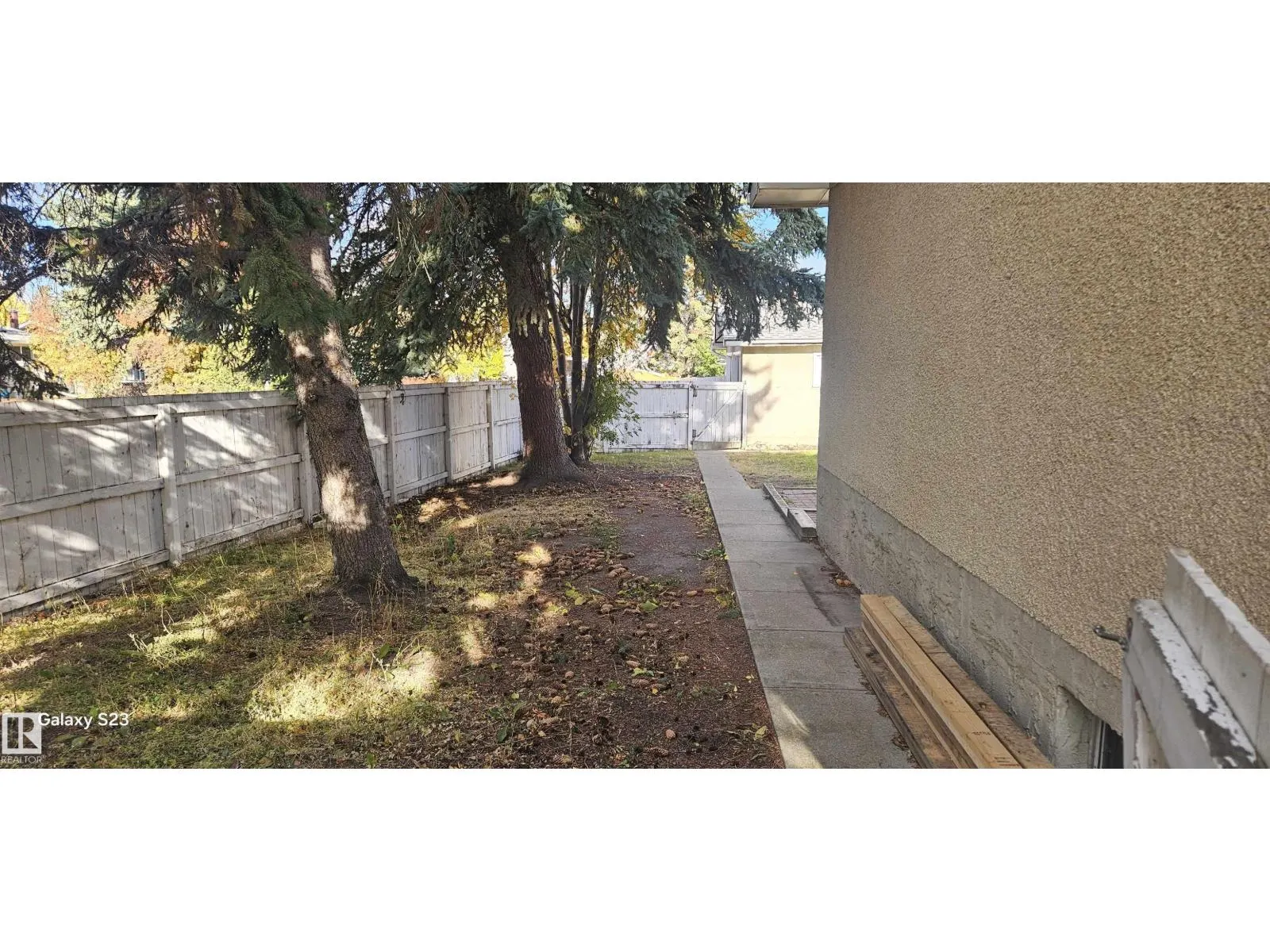 2 Wren CR