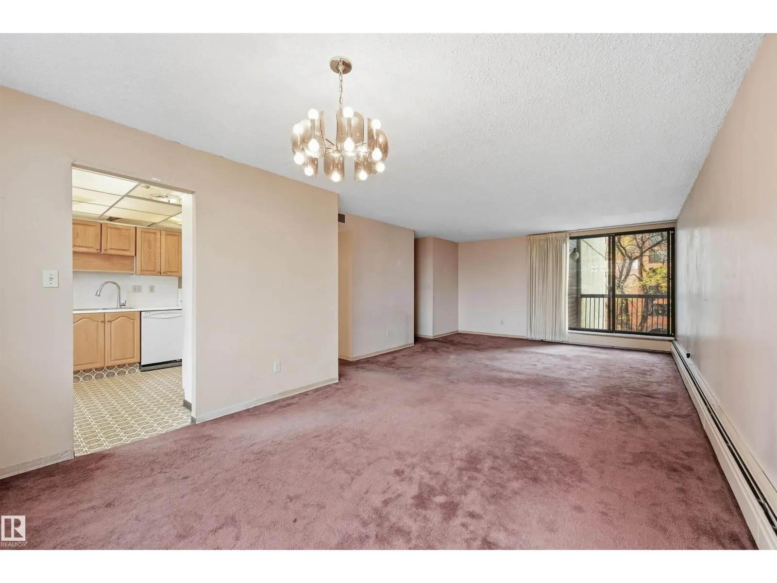 #407 10045 118 ST NW
