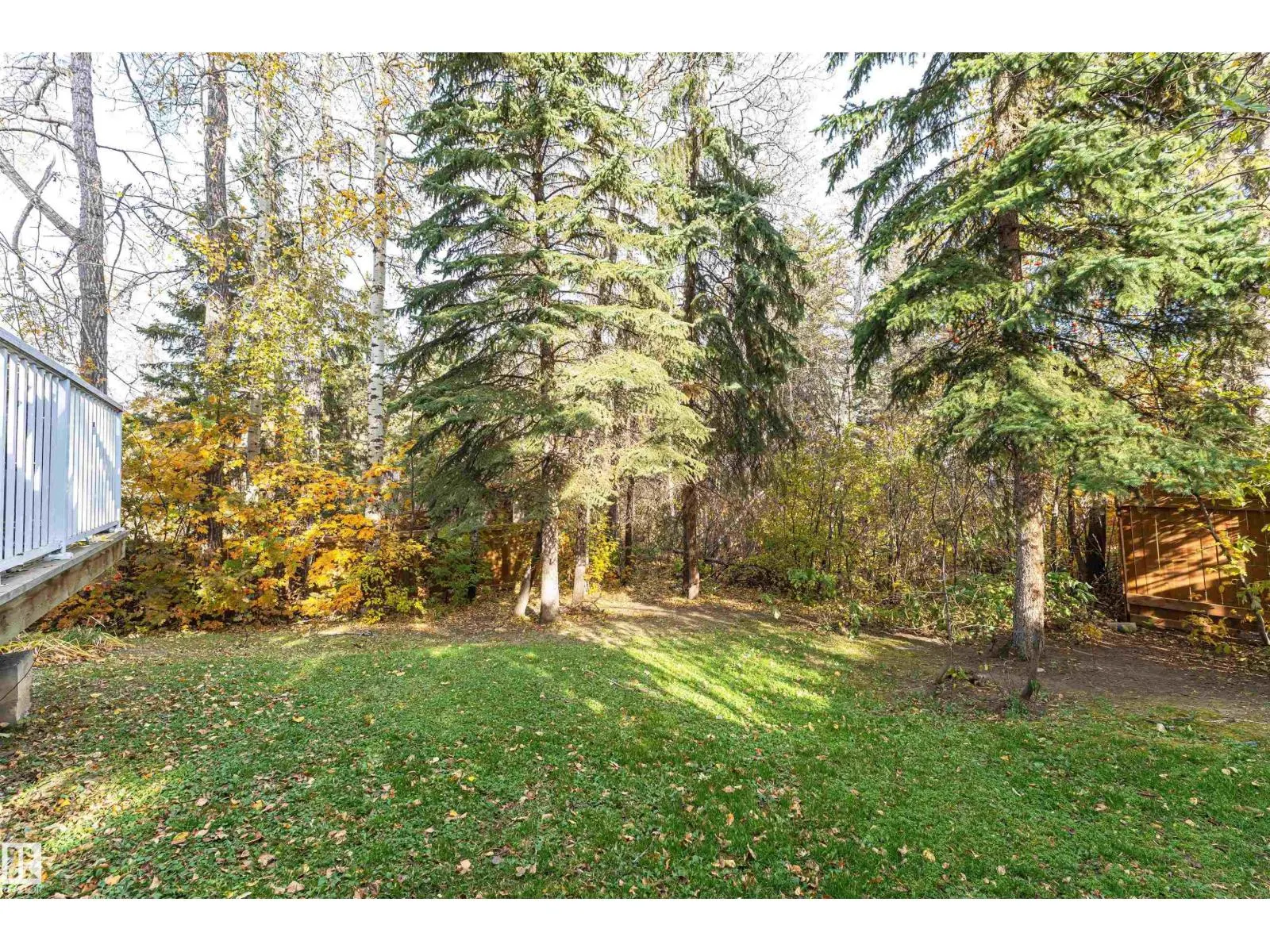 29 GRENFELL AV