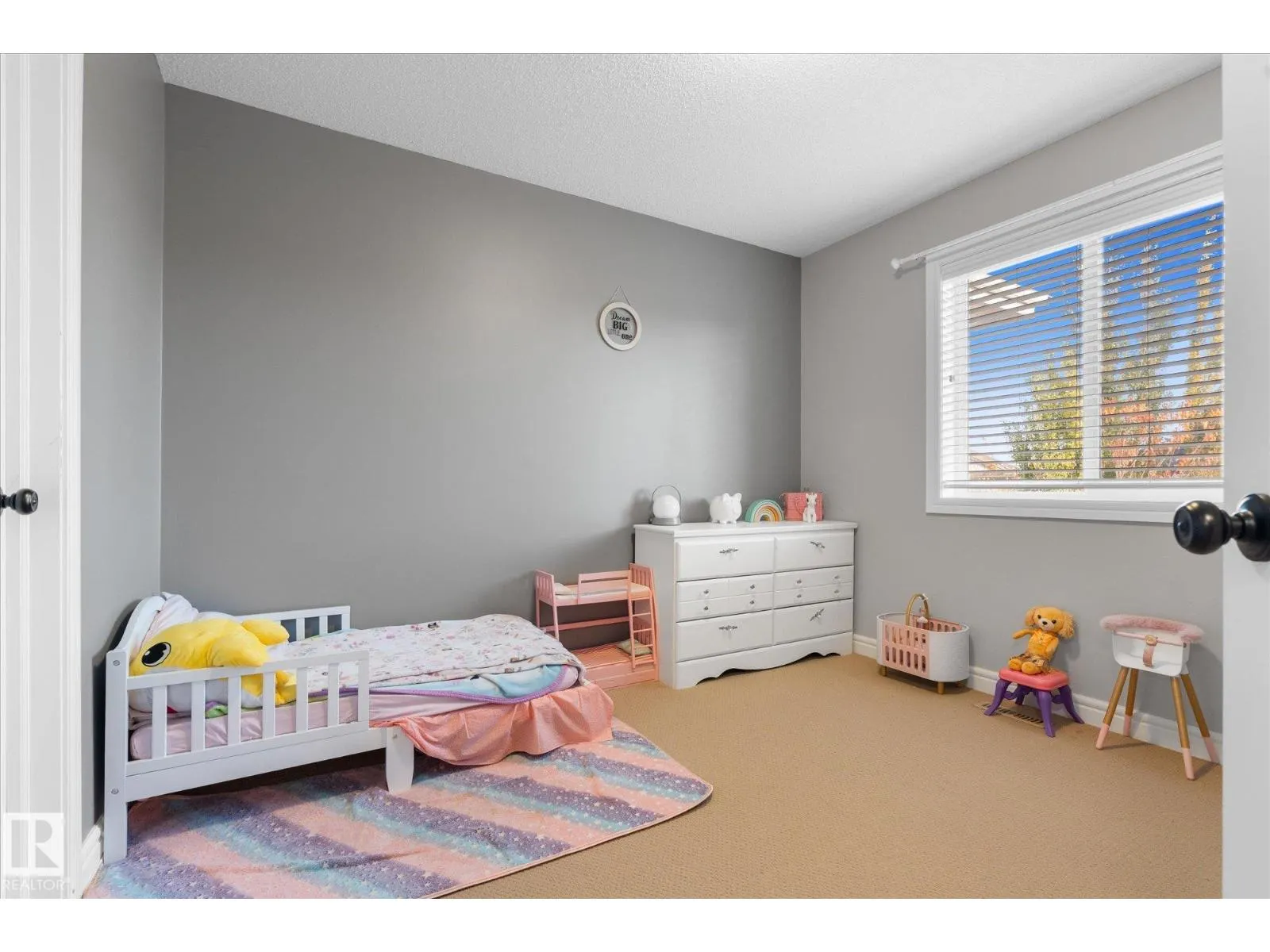 20 CARAGANA WY