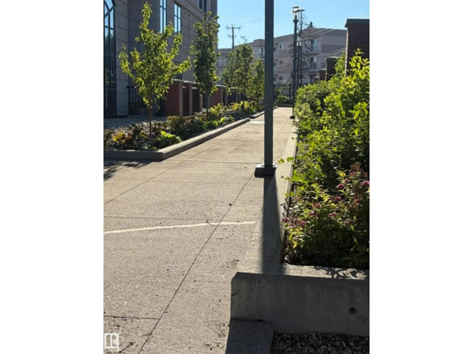 #1003 9020 JASPER AV NW