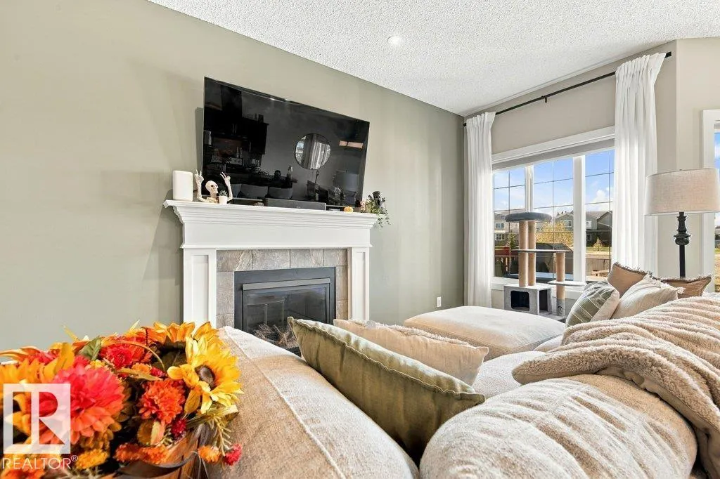 18 Currant CR